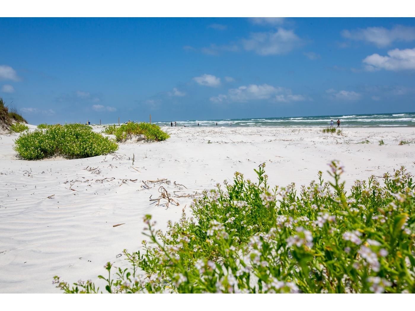 265 Minorca Beach Way #402 New Smyrna Beach FL 32169 NS1085895 image68