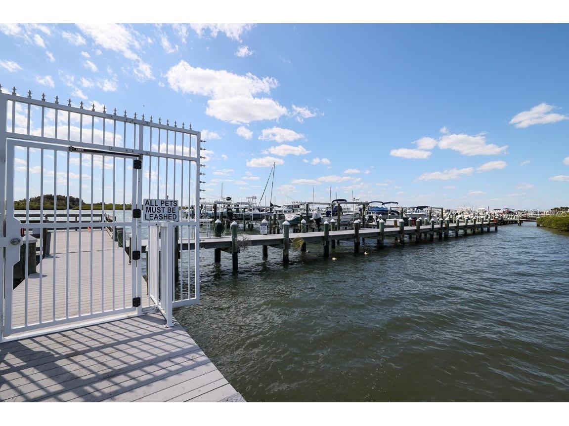 265 Minorca Beach Way #404 New Smyrna Beach FL 32169 NS1086846 image59