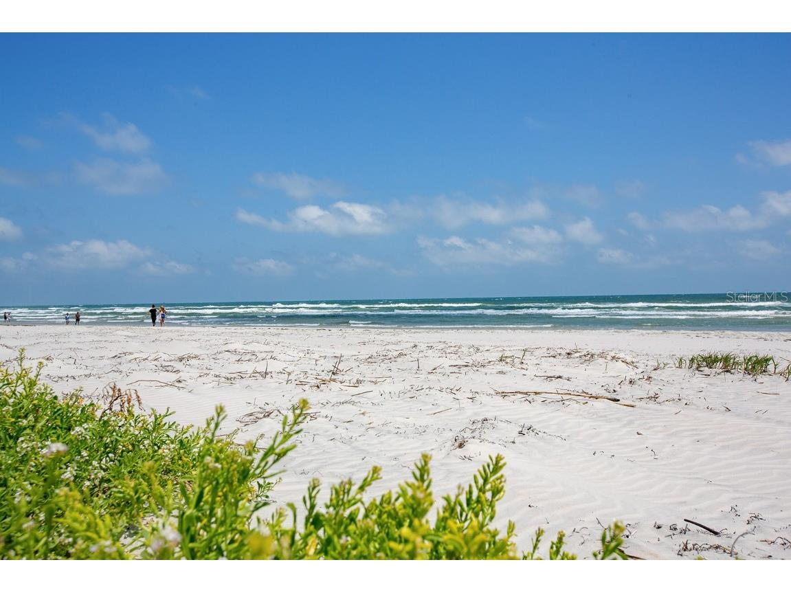 265 Minorca Beach Way #404 New Smyrna Beach FL 32169 NS1086846 image79