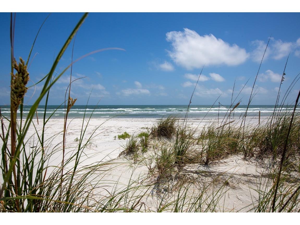 265 Minorca Beach Way #404 New Smyrna Beach FL 32169 NS1086846 image80