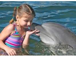 265 Ocean Palm Drive Flagler Beach FL 32136 FC310545 image28