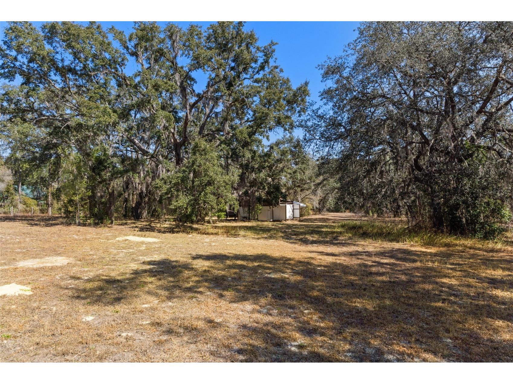 265 S Thayer Avenue Lecanto FL 34461 OM718908 image52