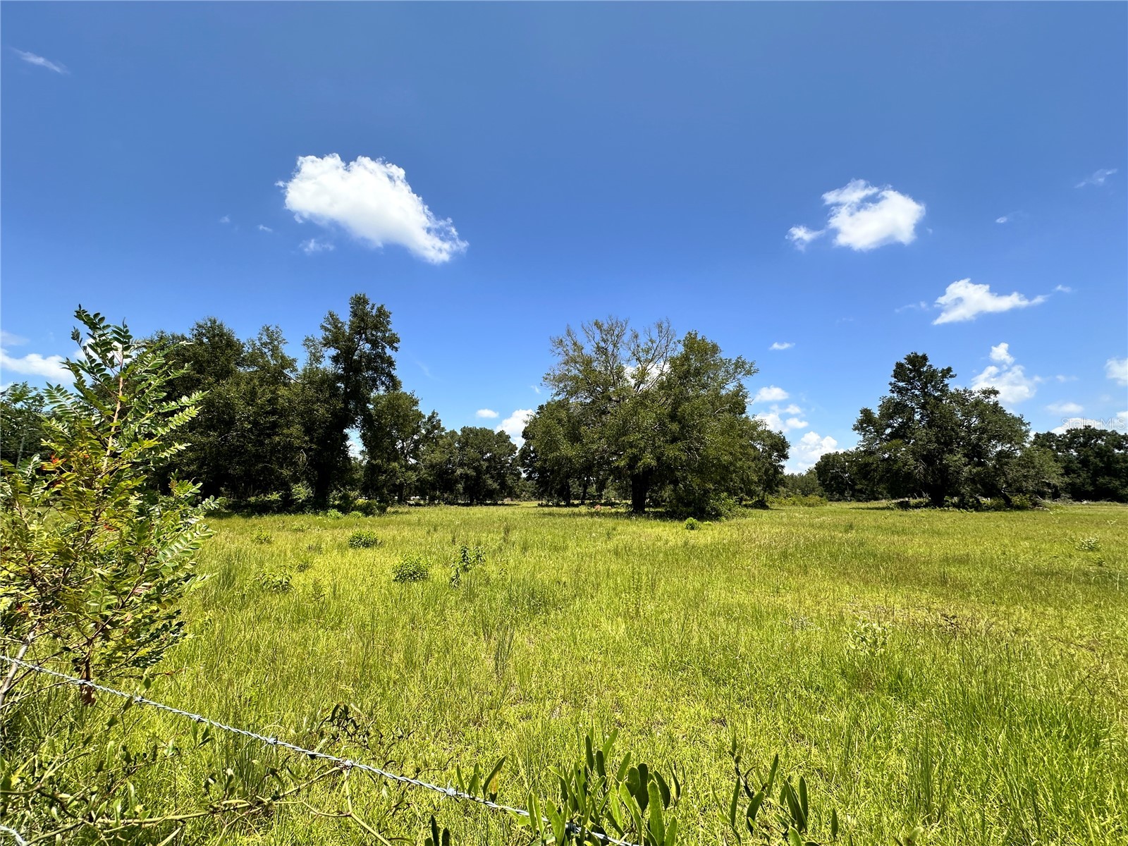 265 SW Skyline Loop Fort White FL 32038 OM729097 image10