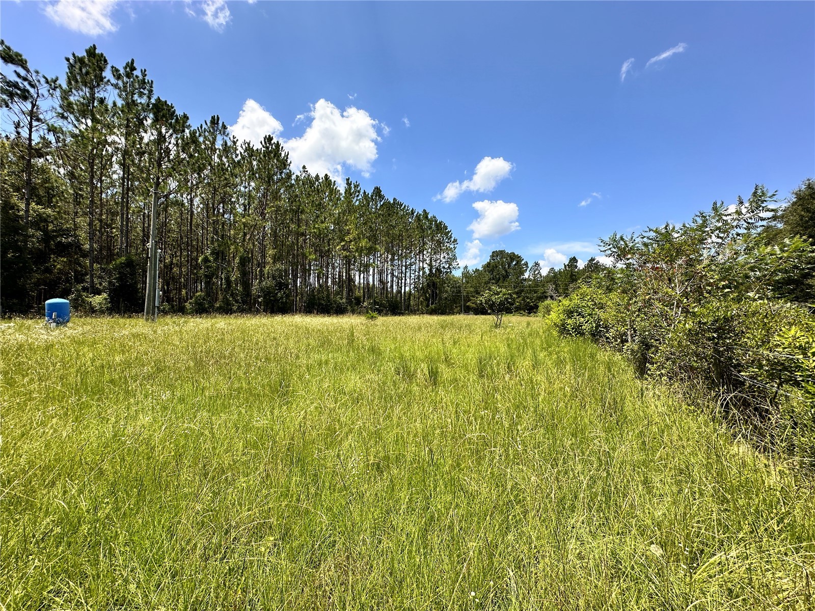 265 SW Skyline Loop Fort White FL 32038 OM729097 image11