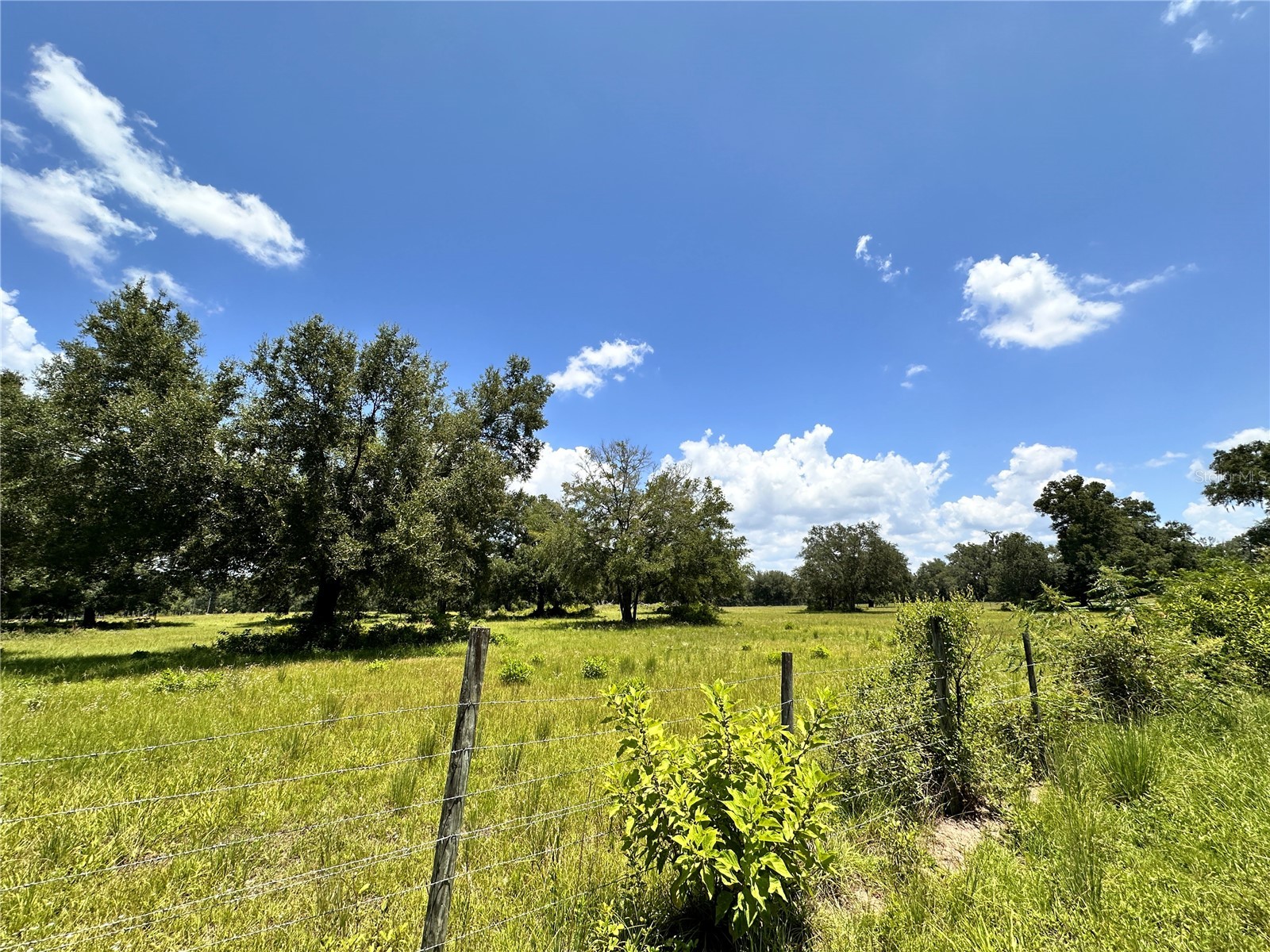 265 SW Skyline Loop Fort White FL 32038 OM729097 image12