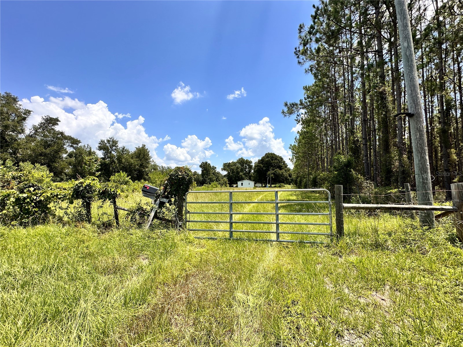265 SW Skyline Loop Fort White FL 32038 OM729097 image14