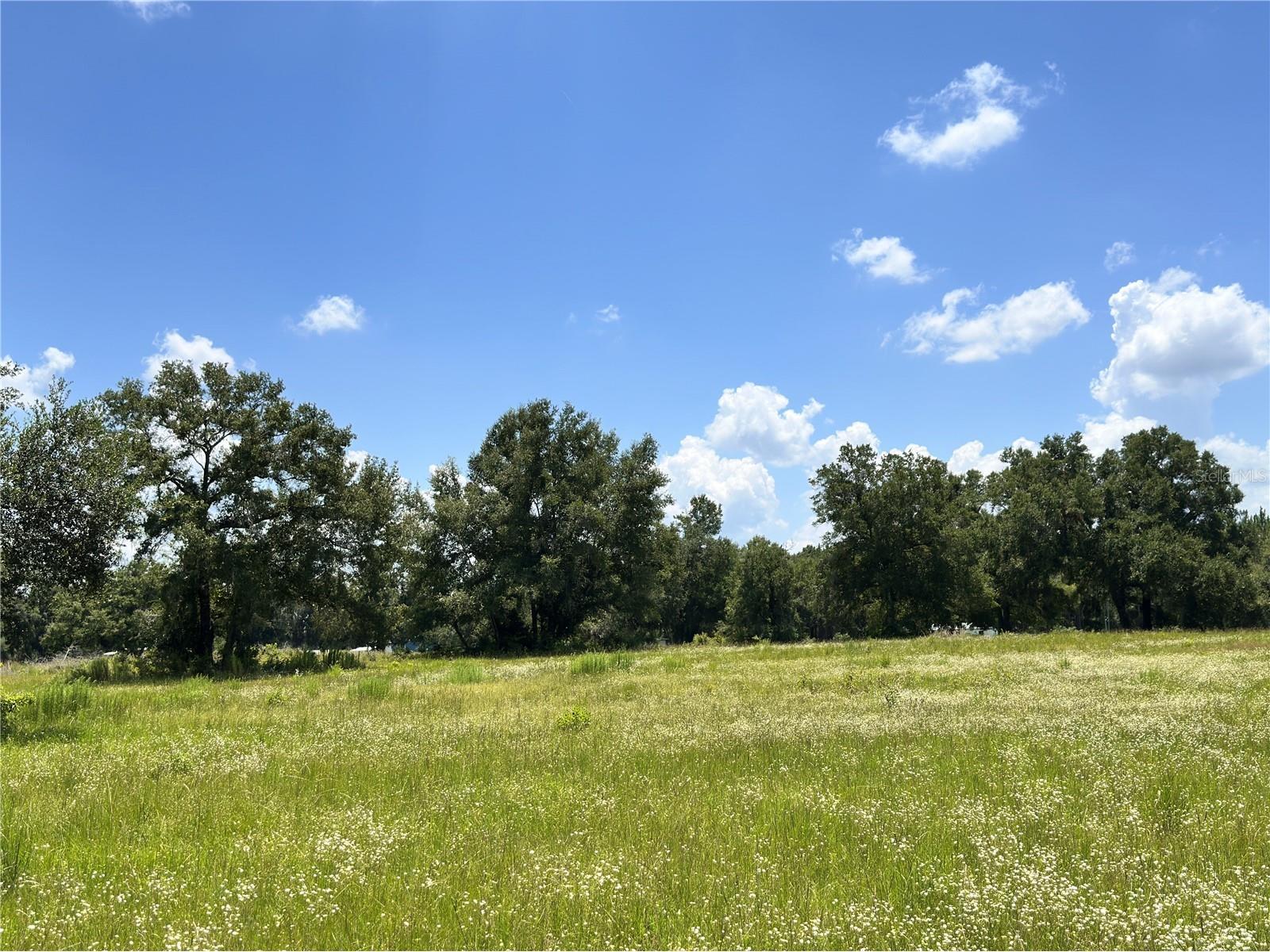 265 SW Skyline Loop Fort White FL 32038 OM729097 image21