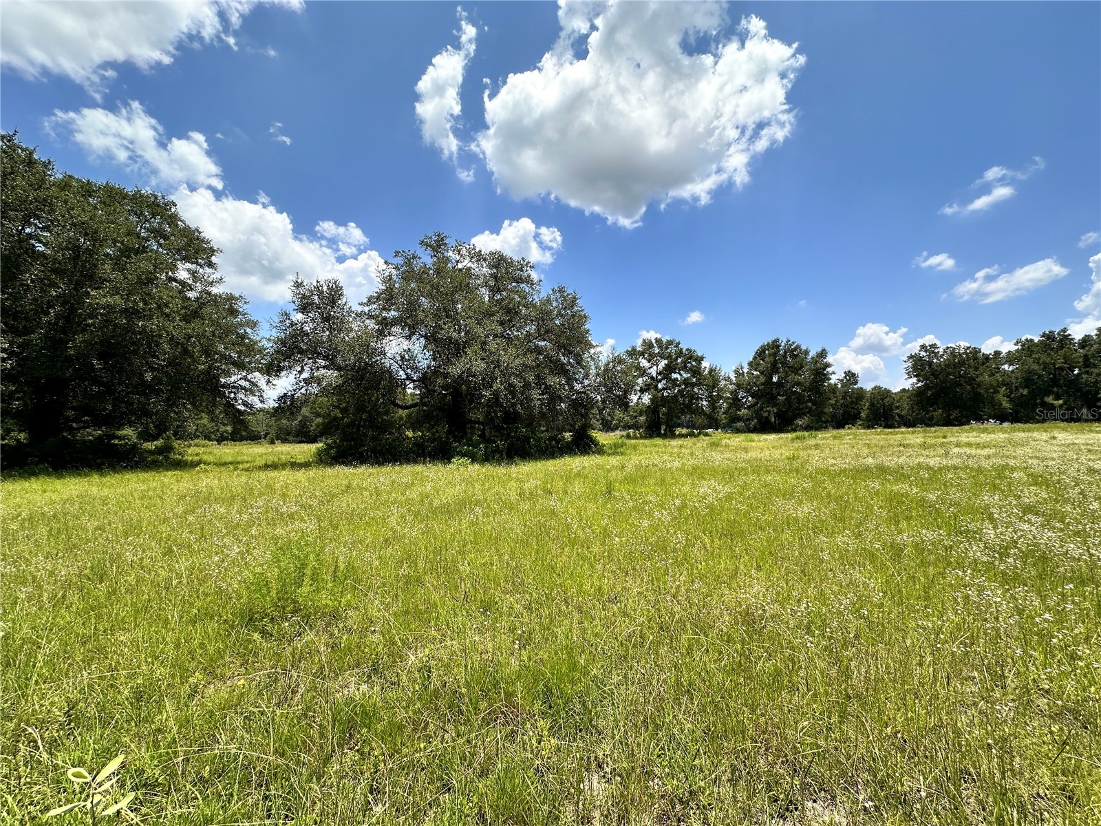 265 SW Skyline Loop Fort White FL 32038 OM729097 image3