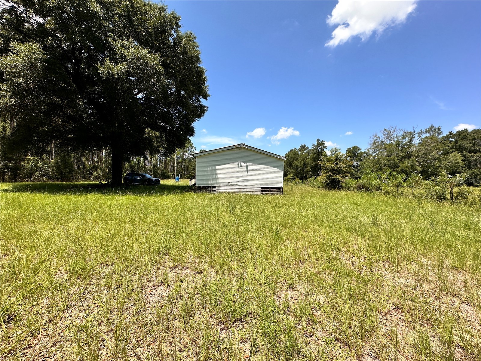 265 SW Skyline Loop Fort White FL 32038 OM729097 image31