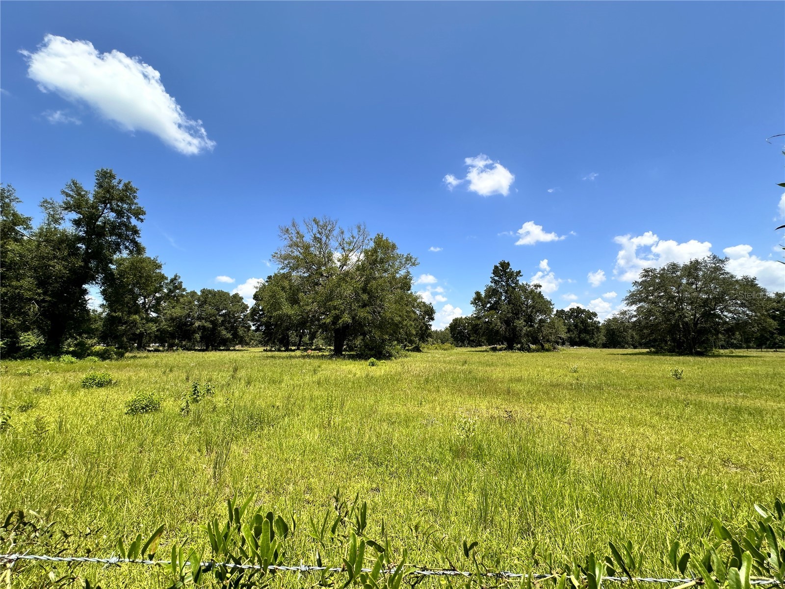 265 SW Skyline Loop Fort White FL 32038 OM729097 image33