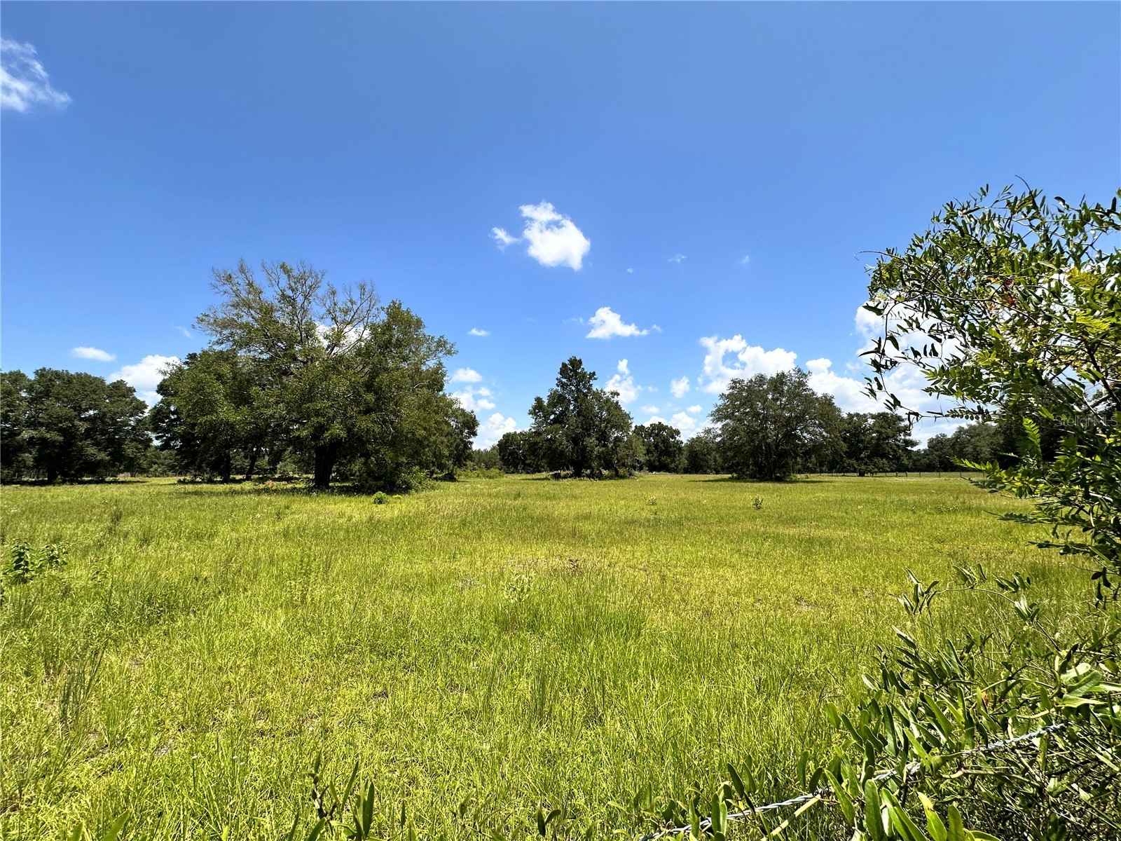 265 SW Skyline Loop Fort White FL 32038 OM729097 image34