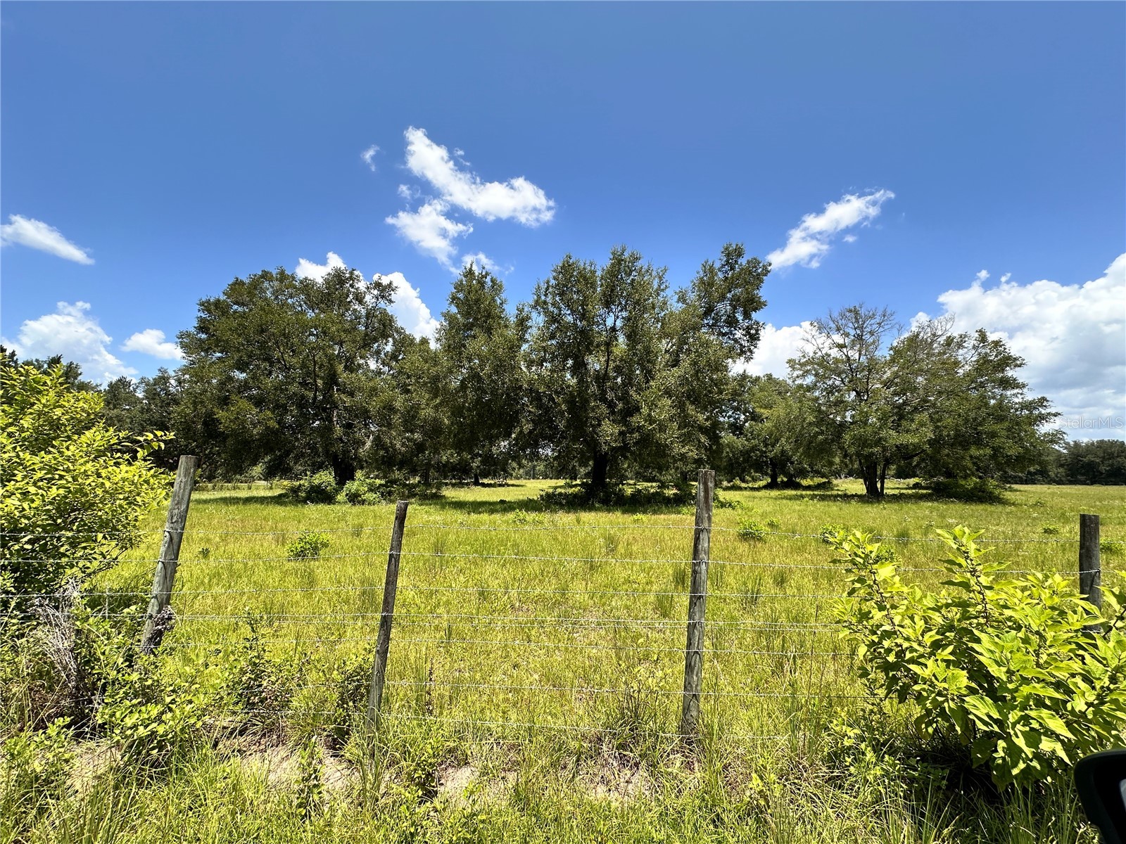 265 SW Skyline Loop Fort White FL 32038 OM729097 image35