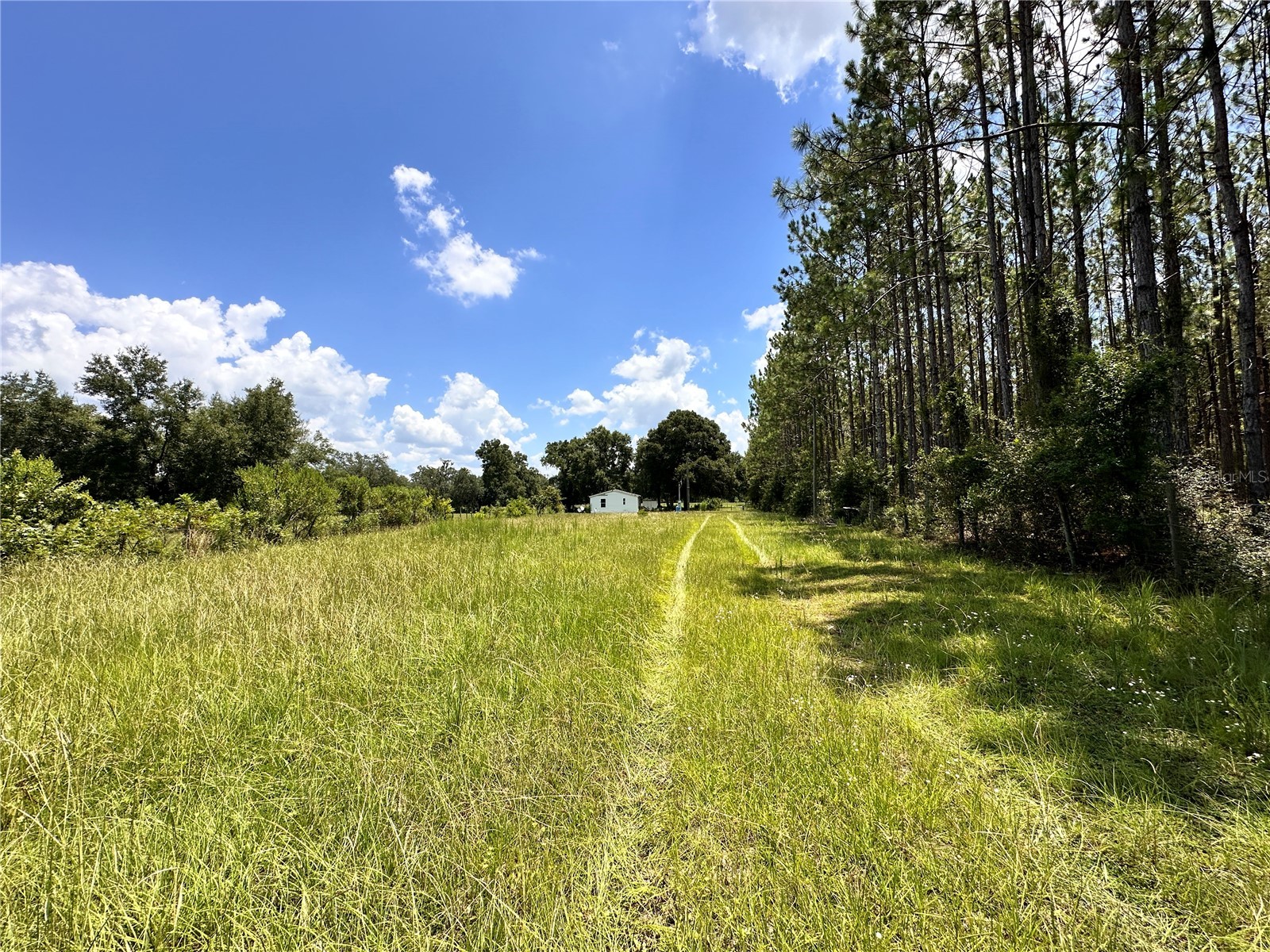 265 SW Skyline Loop Fort White FL 32038 OM729097 image36