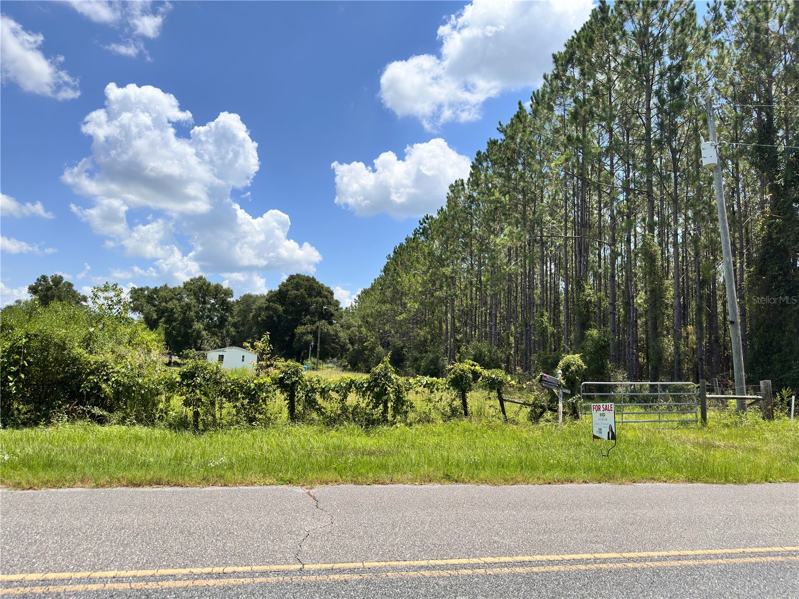 265 SW Skyline Loop Fort White FL 32038 OM729097 image37