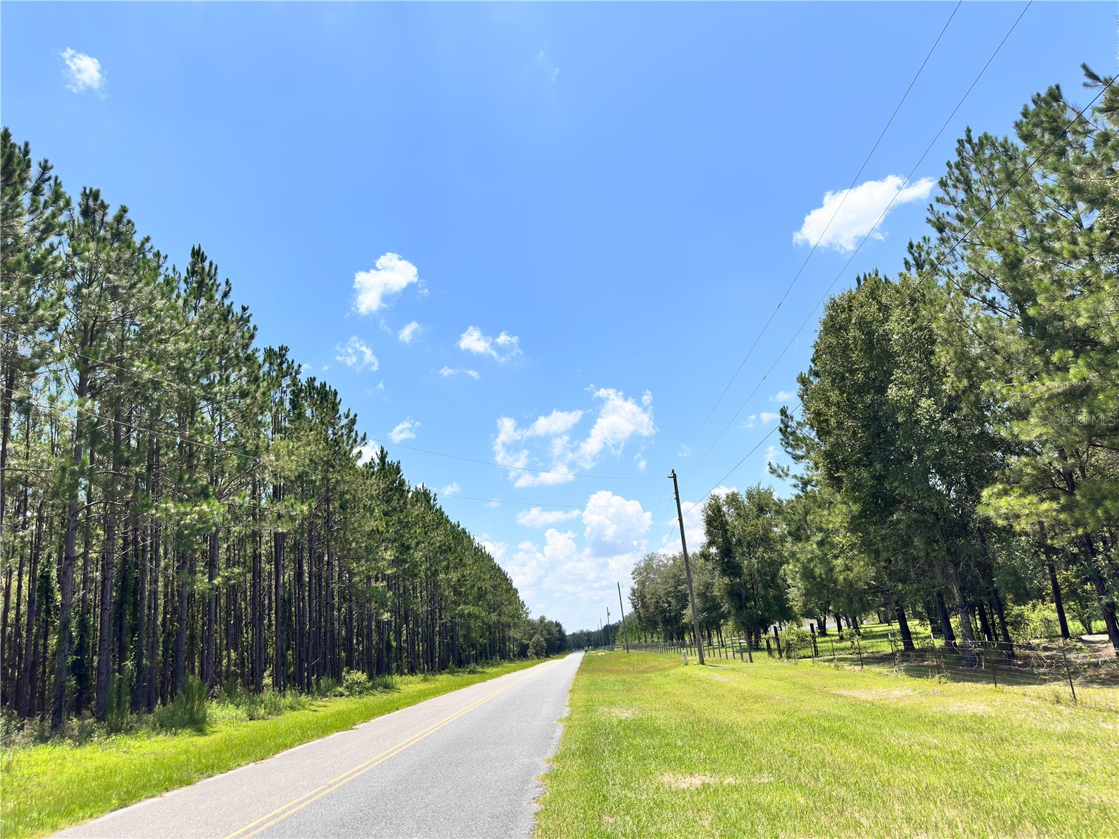 265 SW Skyline Loop Fort White FL 32038 OM729097 image38