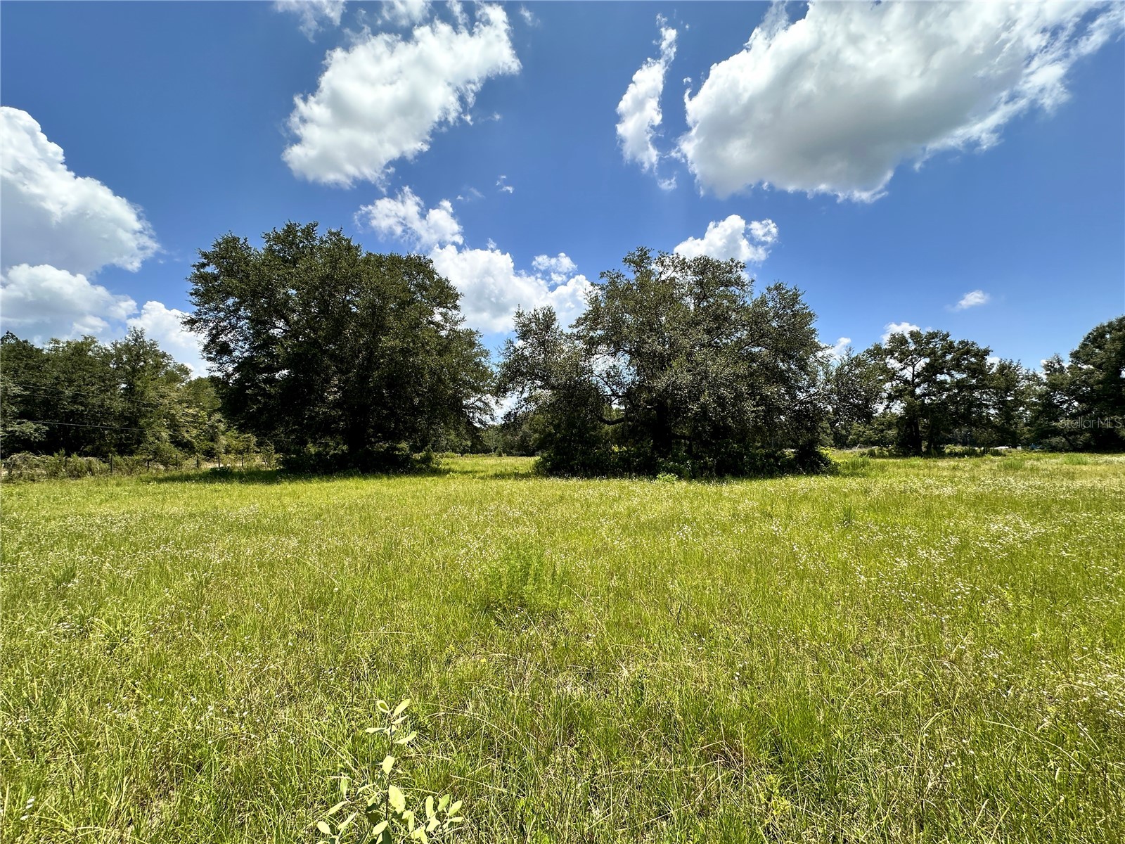 265 SW Skyline Loop Fort White FL 32038 OM729097 image39