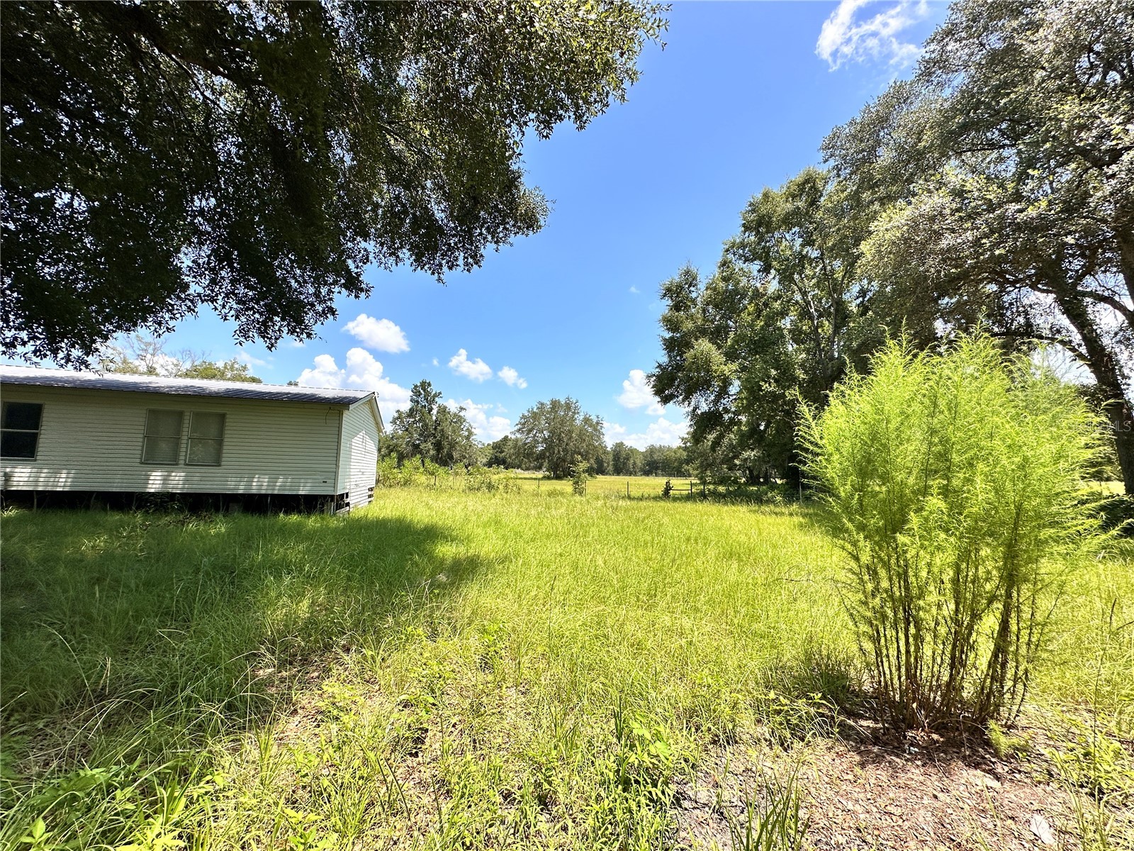 265 SW Skyline Loop Fort White FL 32038 OM729097 image5