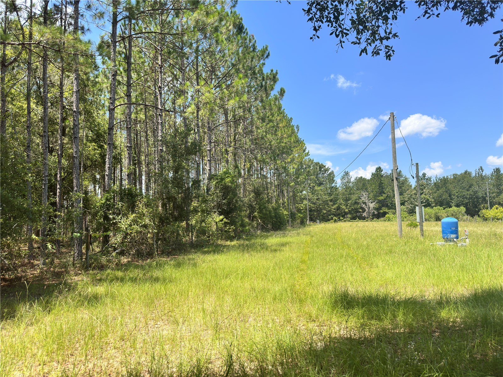 265 SW Skyline Loop Fort White FL 32038 OM729097 image54