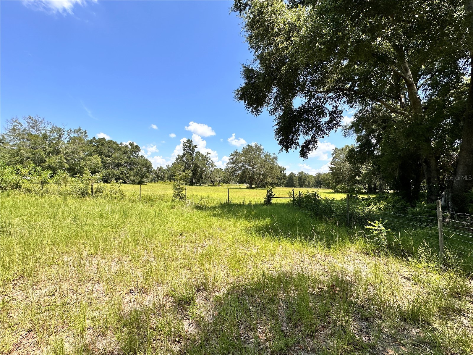 265 SW Skyline Loop Fort White FL 32038 OM729097 image55