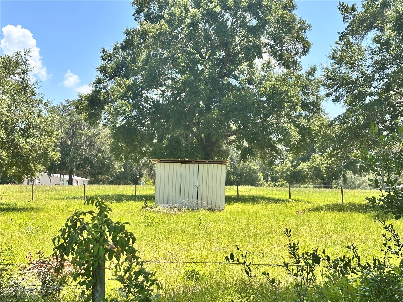 265 SW Skyline Loop Fort White FL 32038 OM729097 image6