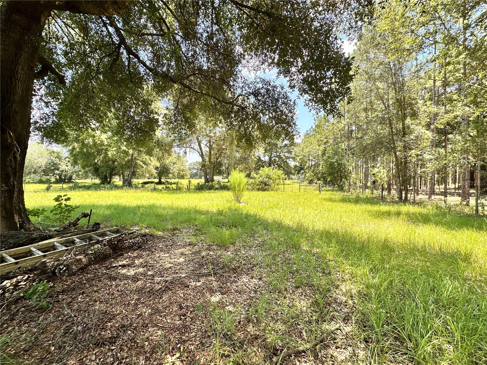 265 SW Skyline Loop Fort White FL 32038 OM729097 image76