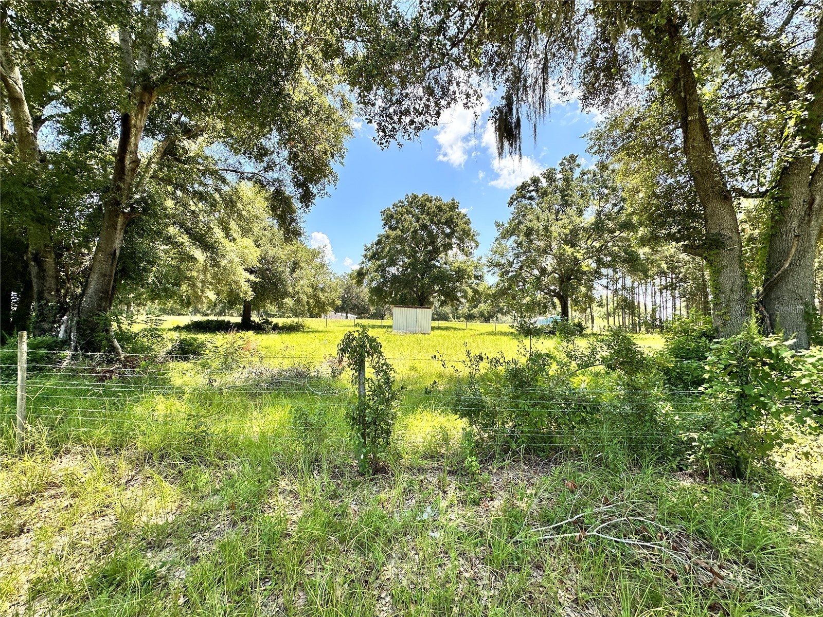 265 SW Skyline Loop Fort White FL 32038 OM729097 image77