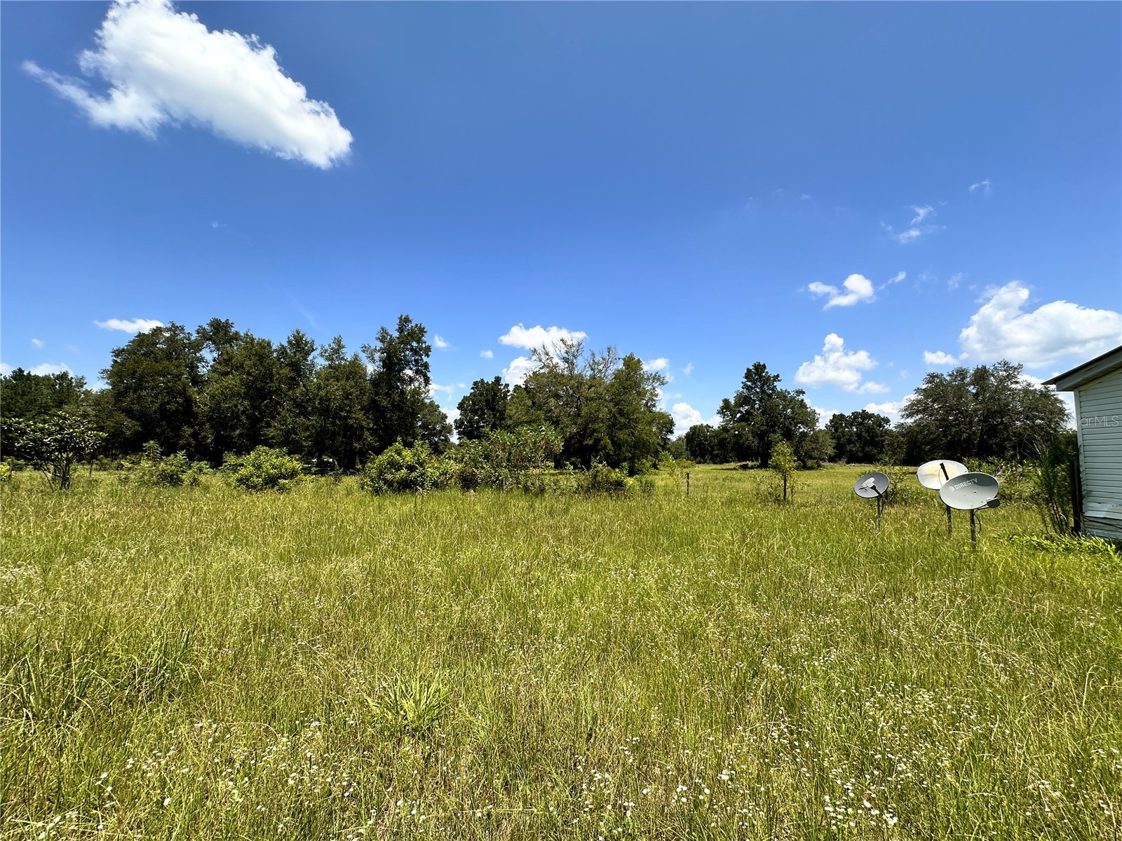 265 SW Skyline Loop Fort White FL 32038 OM729097 image9