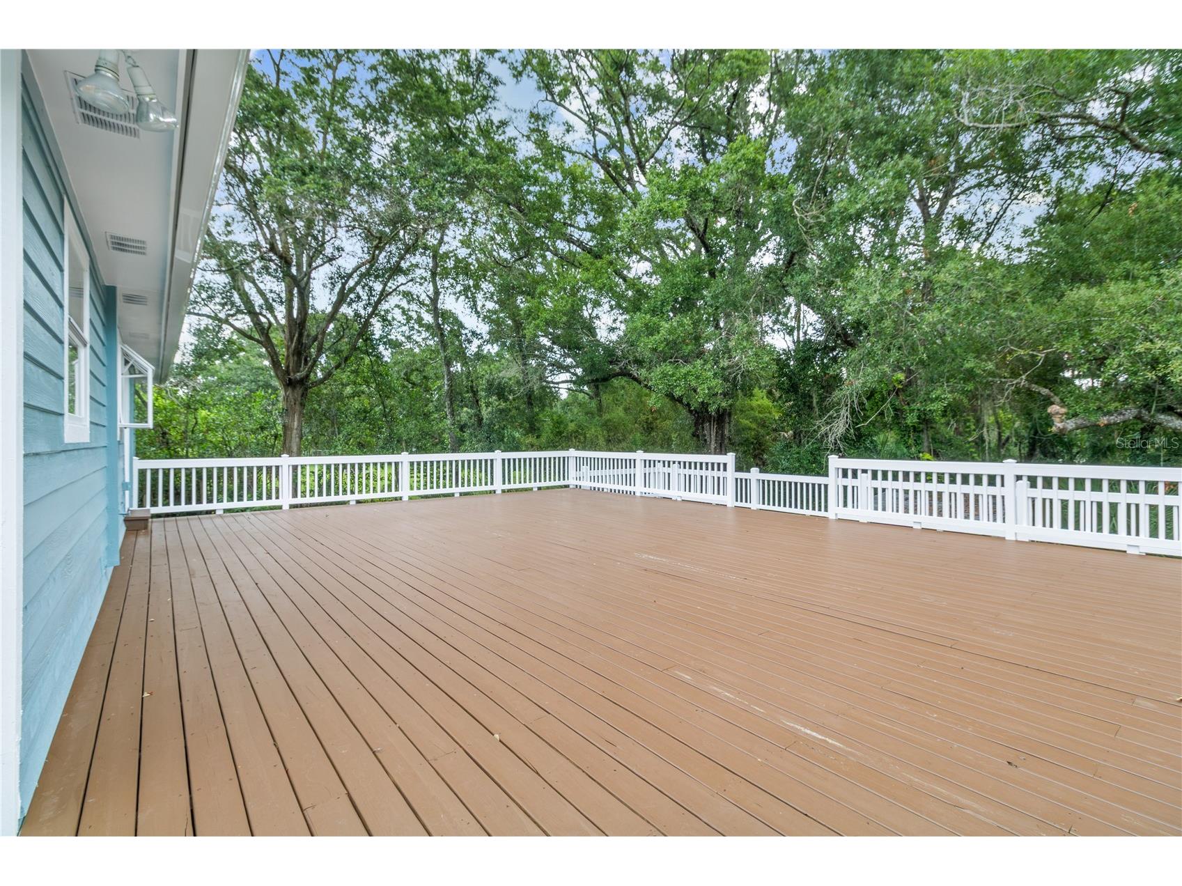 2650 20 Mile Level Road Land O Lakes FL 34639 TB8518765 image49