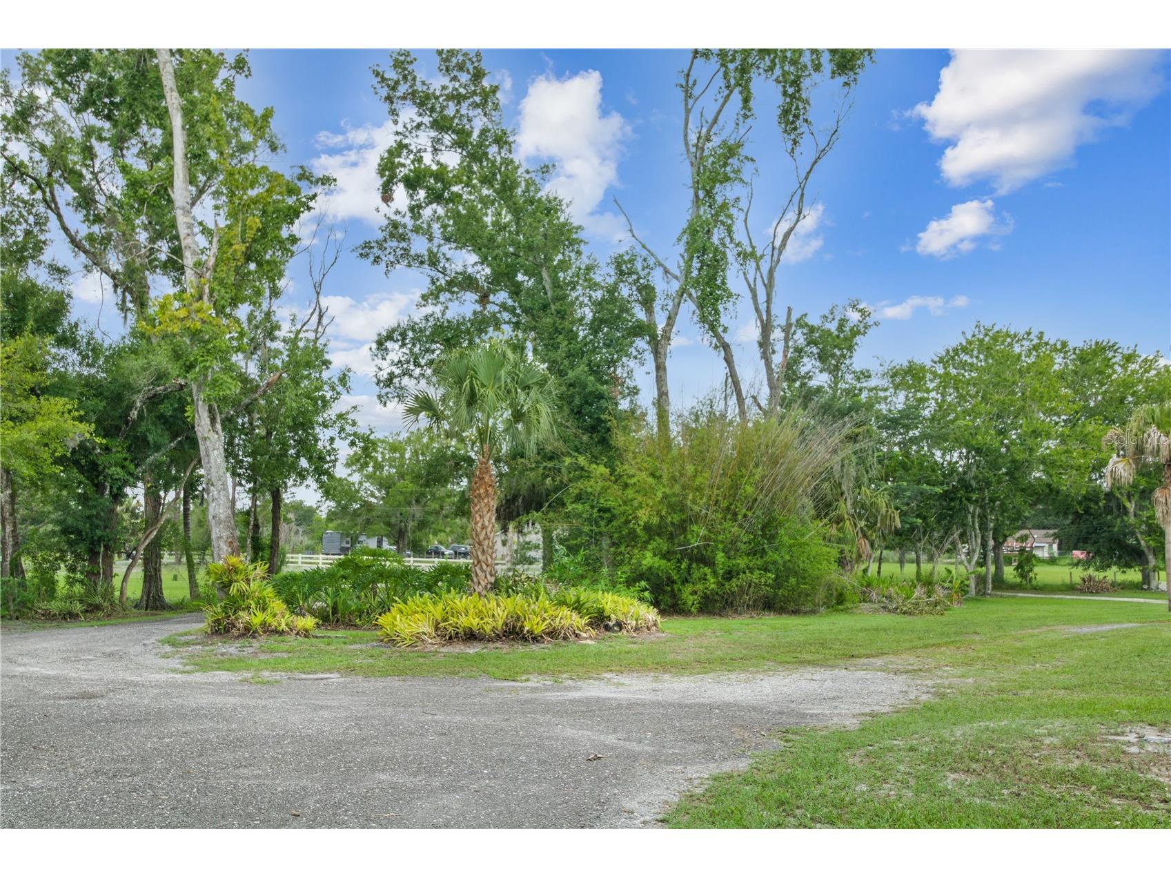2650 20 Mile Level Road Land O Lakes FL 34639 TB8518765 image5