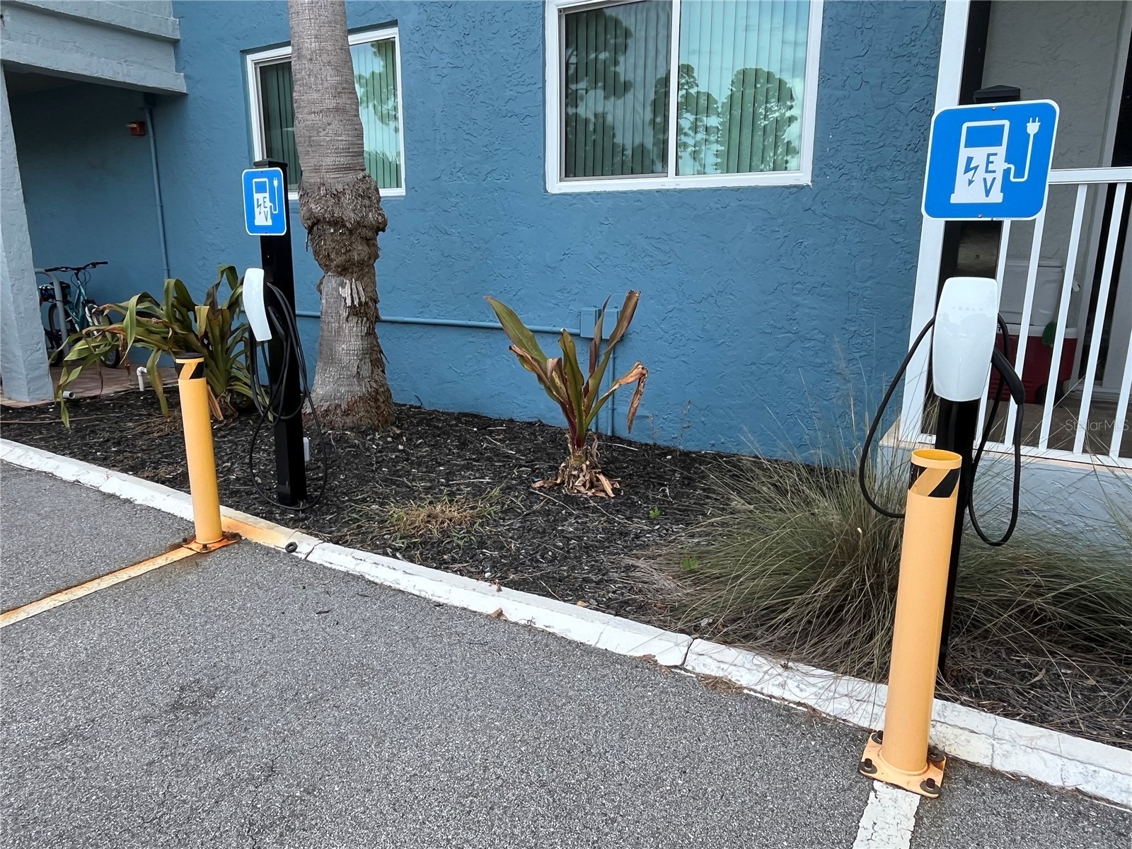 2650 Coconut Bay Ln Lane #513 (1C) Sarasota FL 34237 A4687373 image21