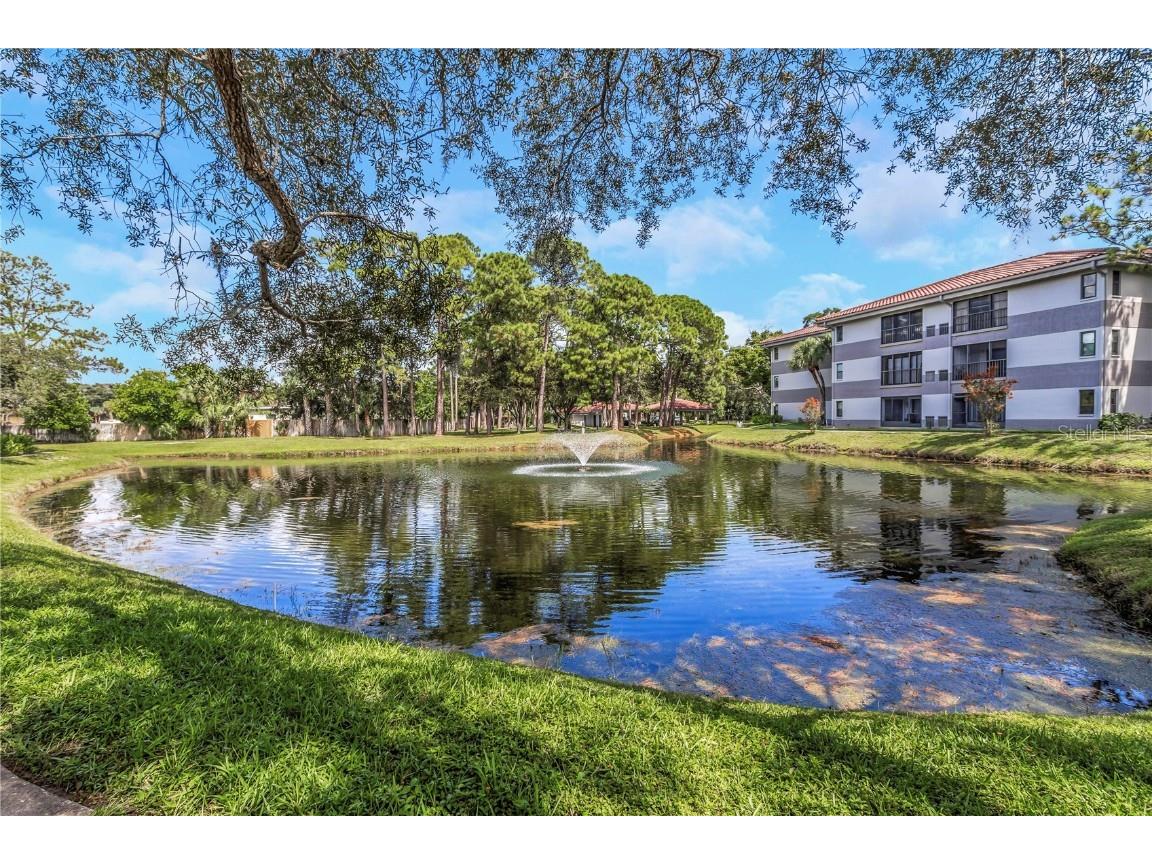 2650 Countryside Boulevard #A104 Clearwater FL 33761 TB8377222 image1