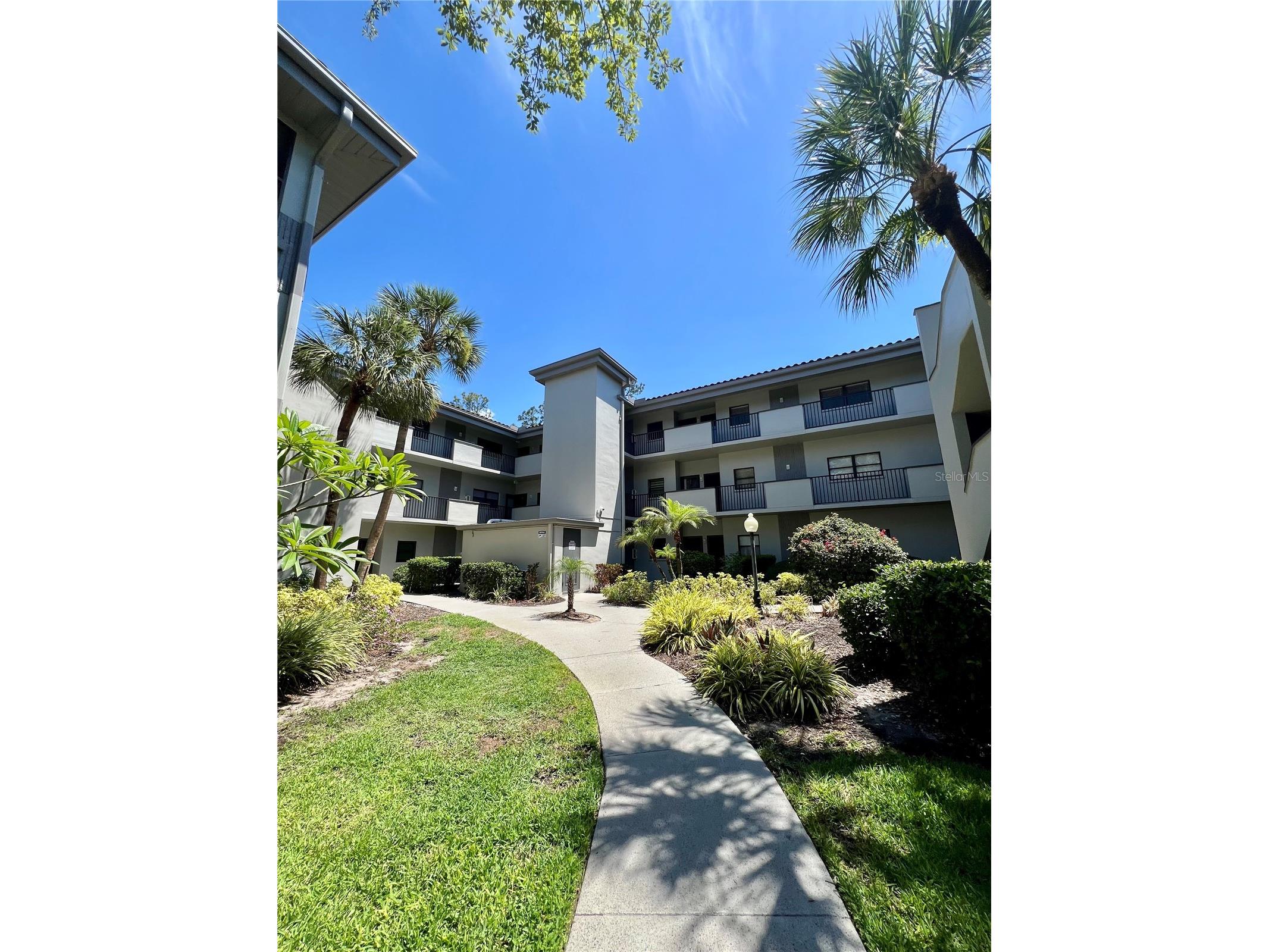 2650 Countryside Boulevard #B302 Clearwater FL 33761 TB8510320 image1