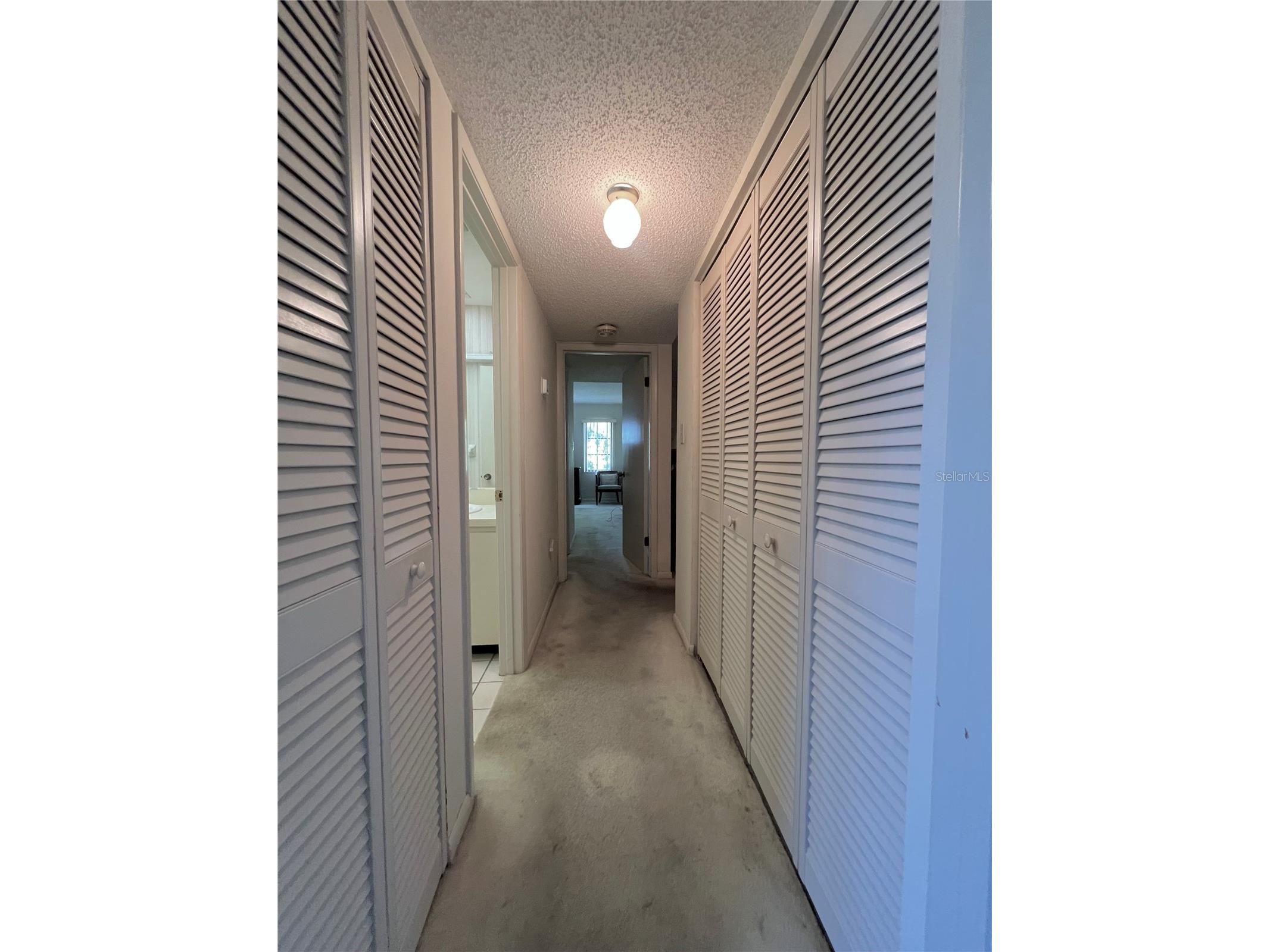 2650 Countryside Boulevard #B302 Clearwater FL 33761 TB8510320 image14