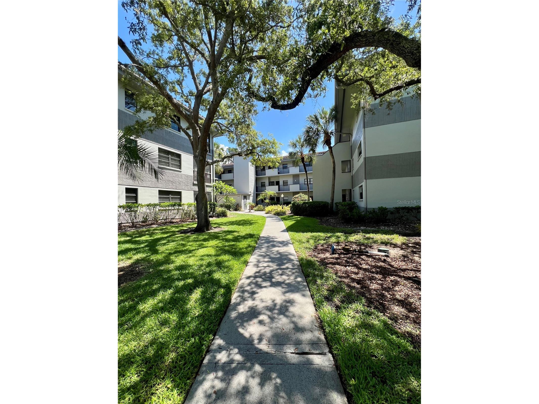 2650 Countryside Boulevard #B302 Clearwater FL 33761 TB8510320 image2