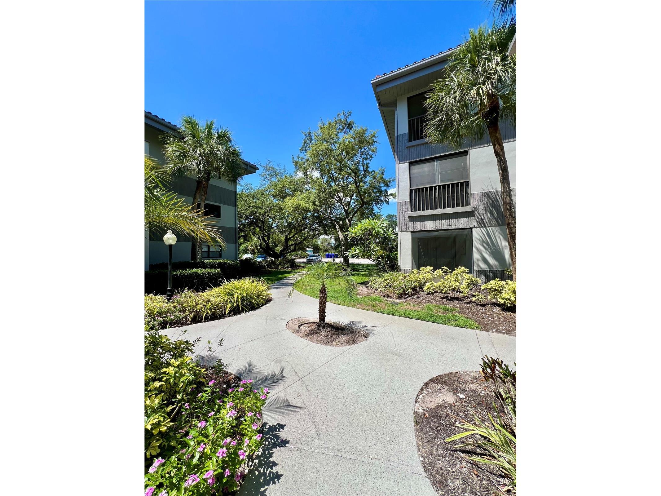 2650 Countryside Boulevard #B302 Clearwater FL 33761 TB8510320 image21