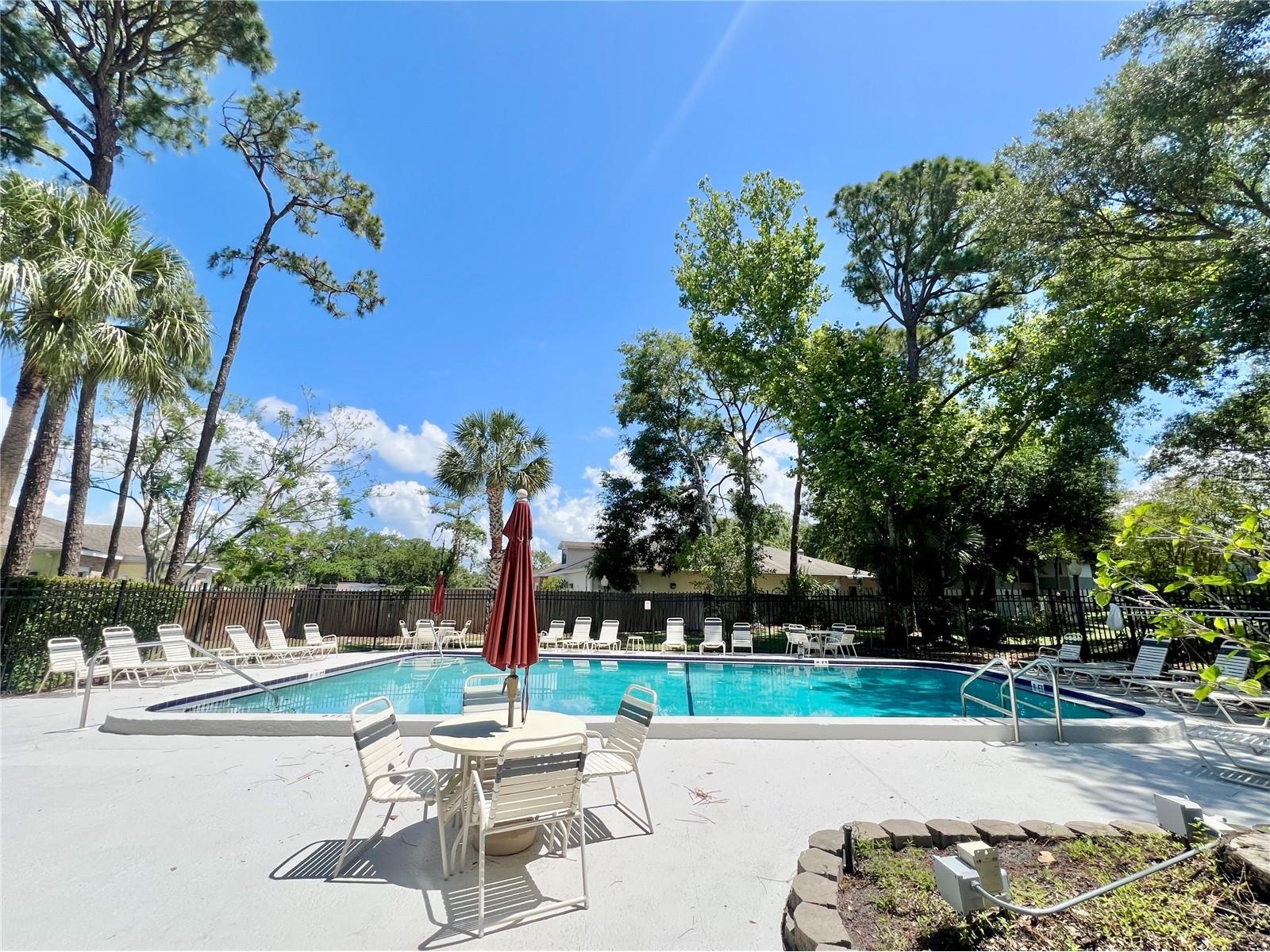 2650 Countryside Boulevard #B302 Clearwater FL 33761 TB8510320 image25