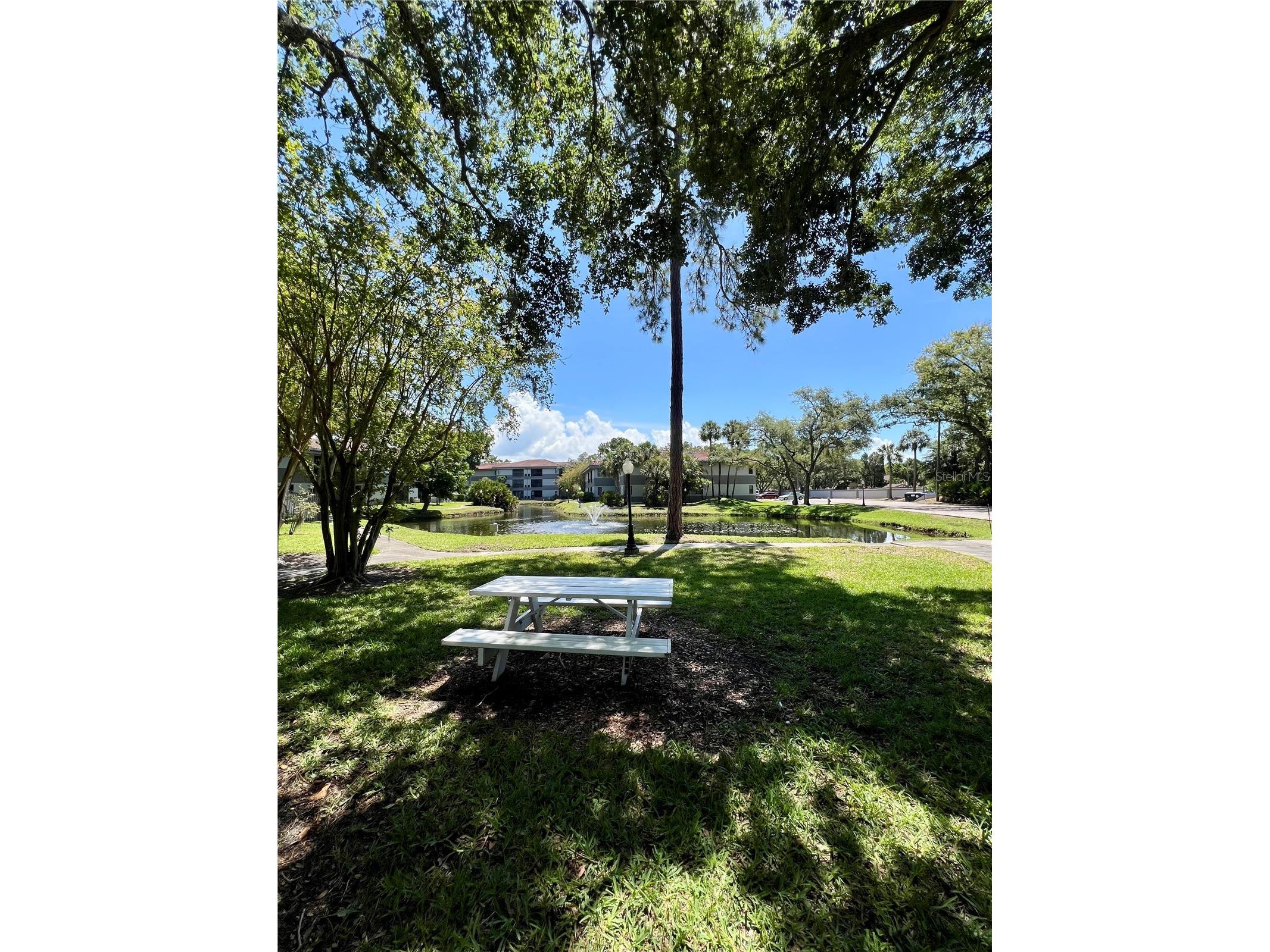 2650 Countryside Boulevard #B302 Clearwater FL 33761 TB8510320 image26