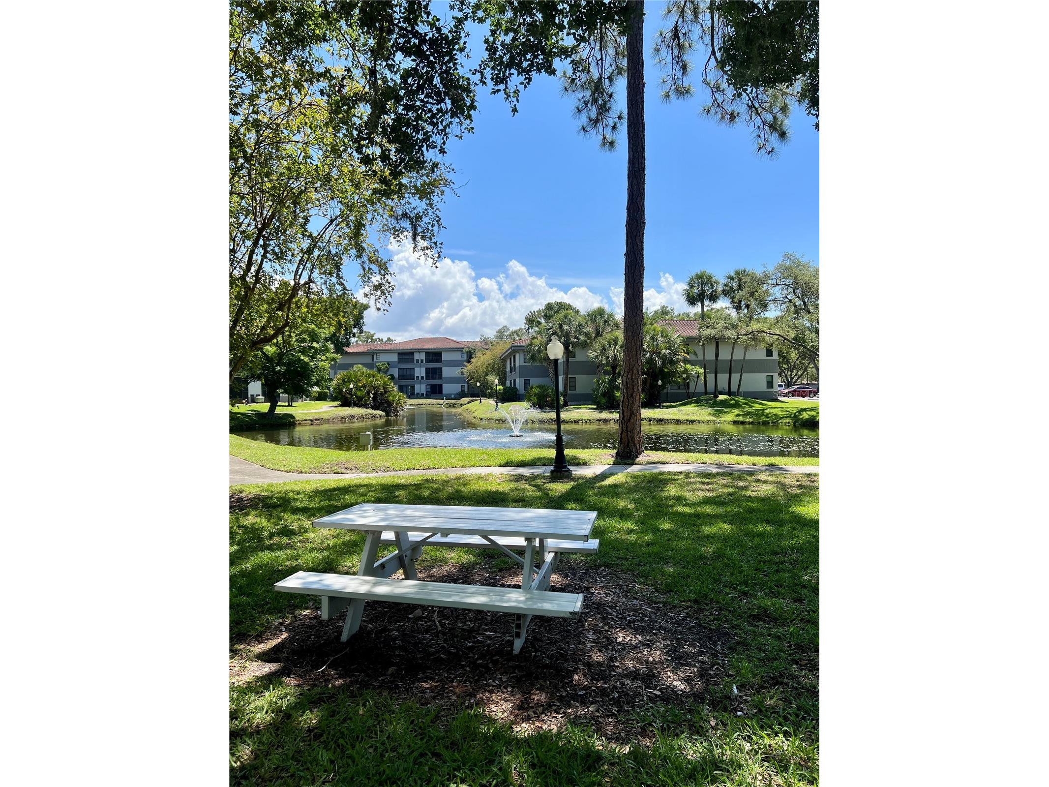 2650 Countryside Boulevard #B302 Clearwater FL 33761 TB8510320 image27