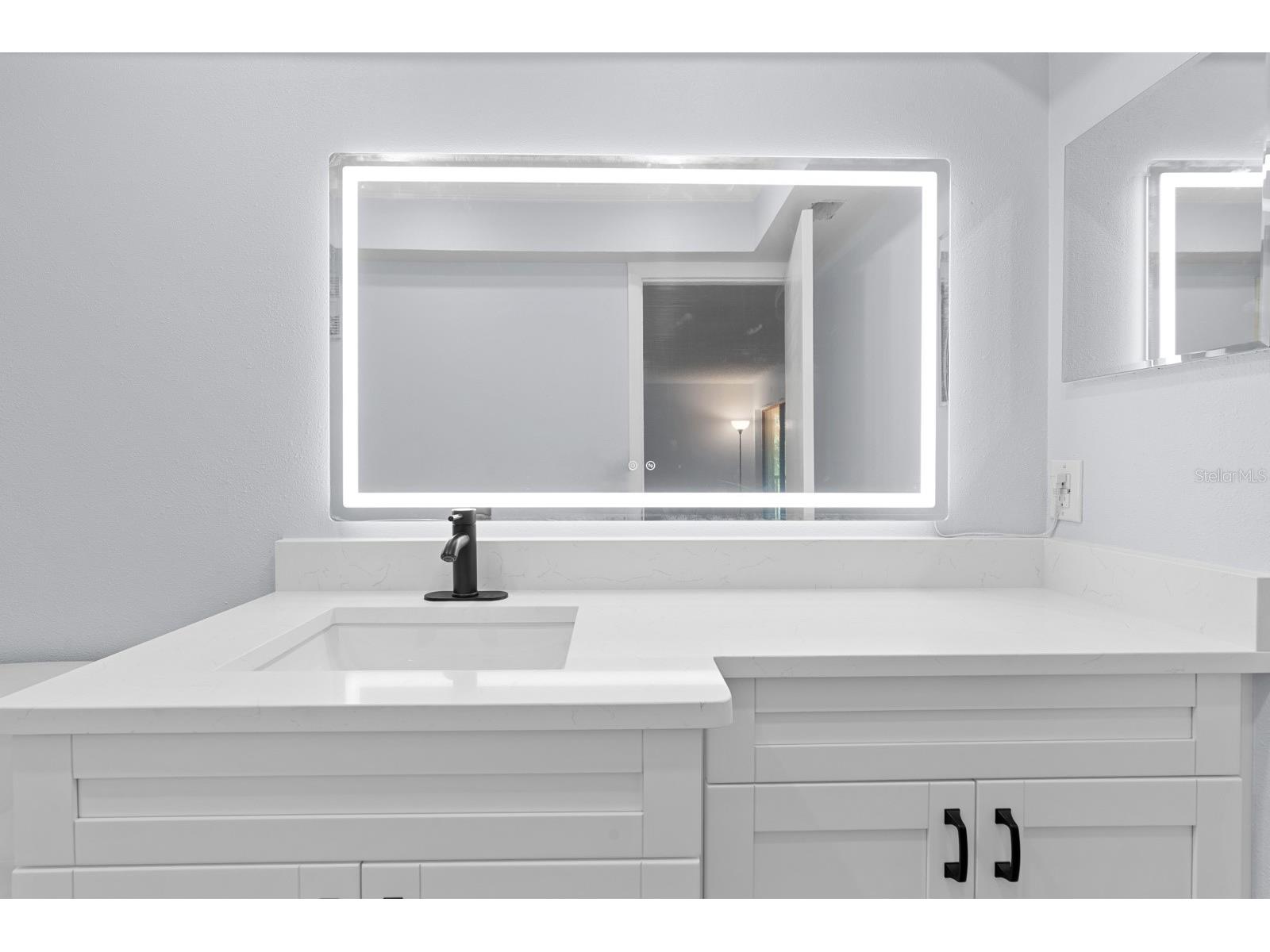 2650 Countryside Boulevard #B307 Clearwater FL 33761 TB8501300 image18