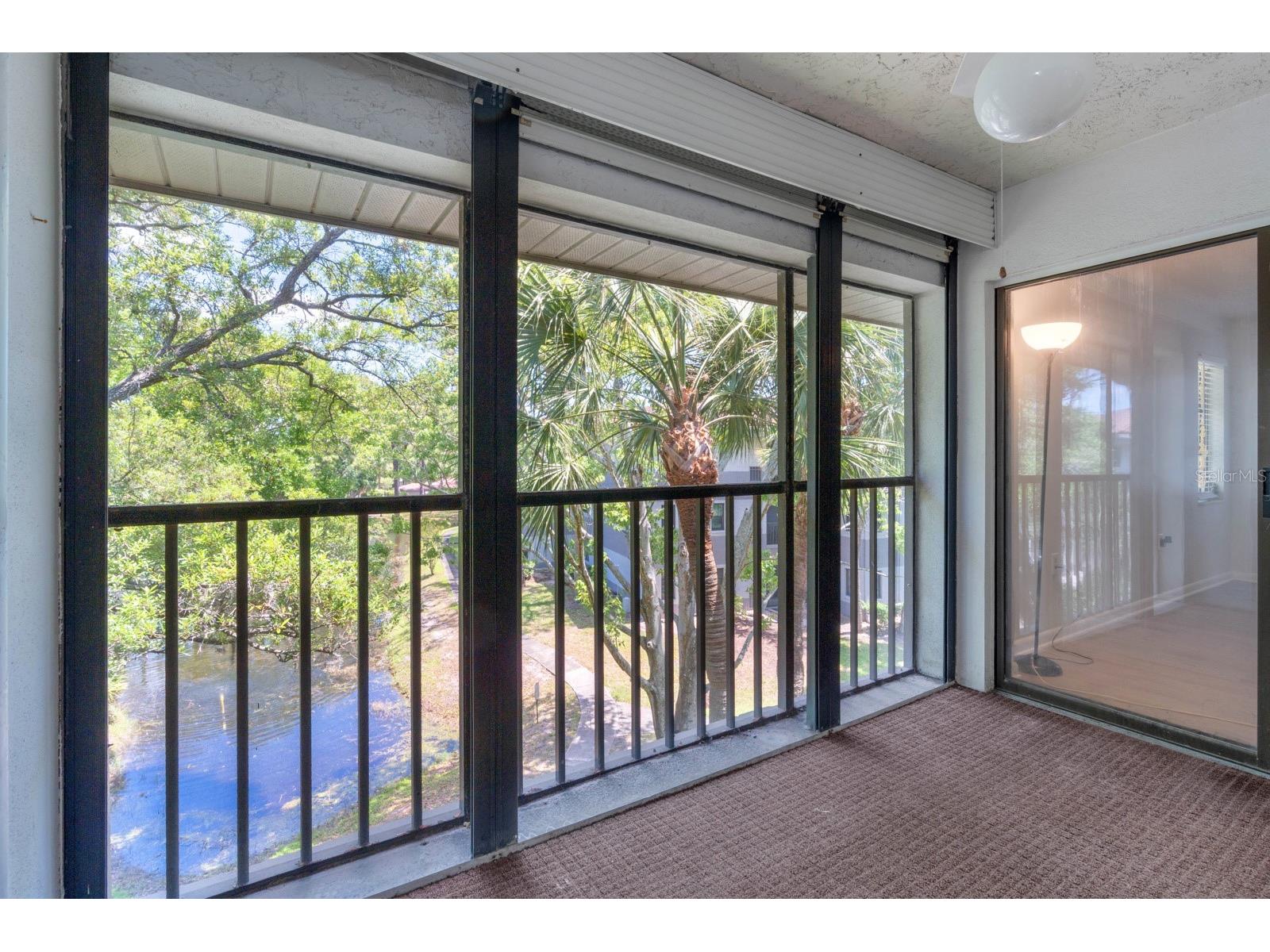 2650 Countryside Boulevard #B307 Clearwater FL 33761 TB8501300 image28