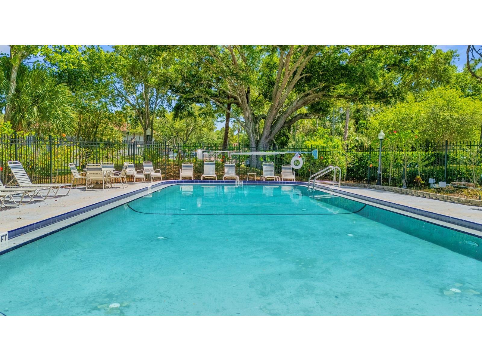 2650 Countryside Boulevard #B307 Clearwater FL 33761 TB8501300 image34
