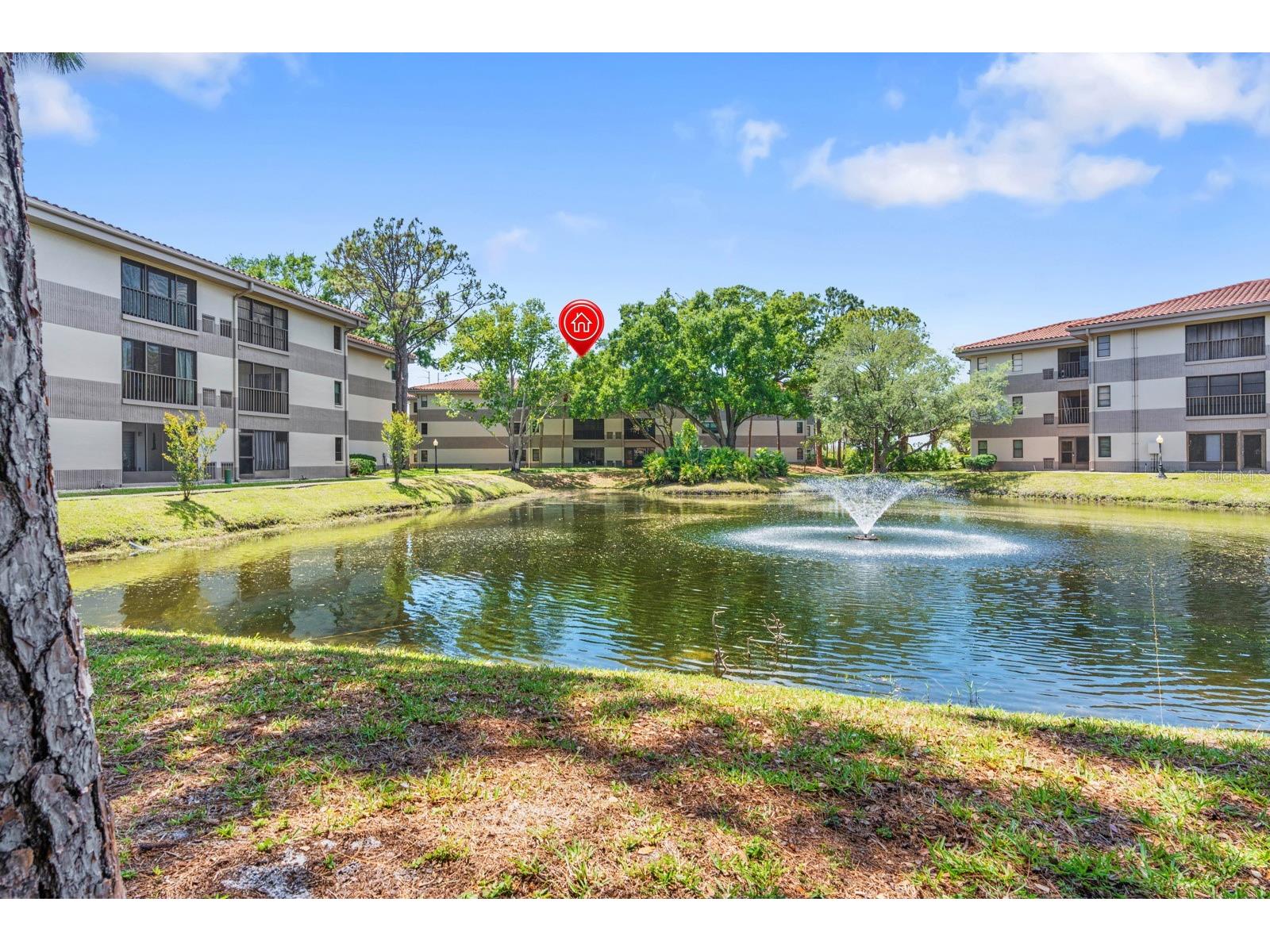 2650 Countryside Boulevard #B307 Clearwater FL 33761 TB8501300 image38
