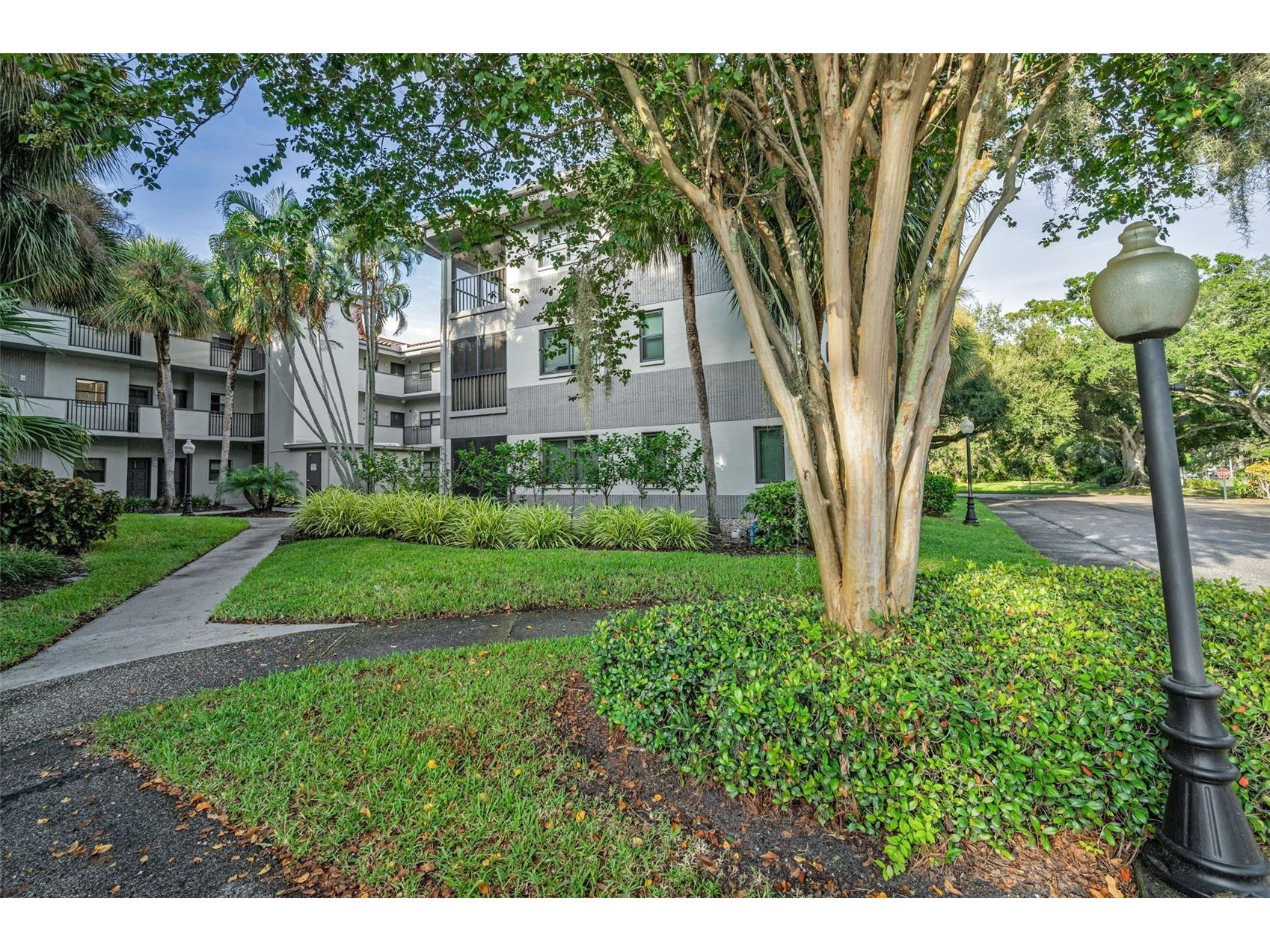 2650 Countryside Boulevard #C106 Clearwater FL 33761 TB8385260 image1