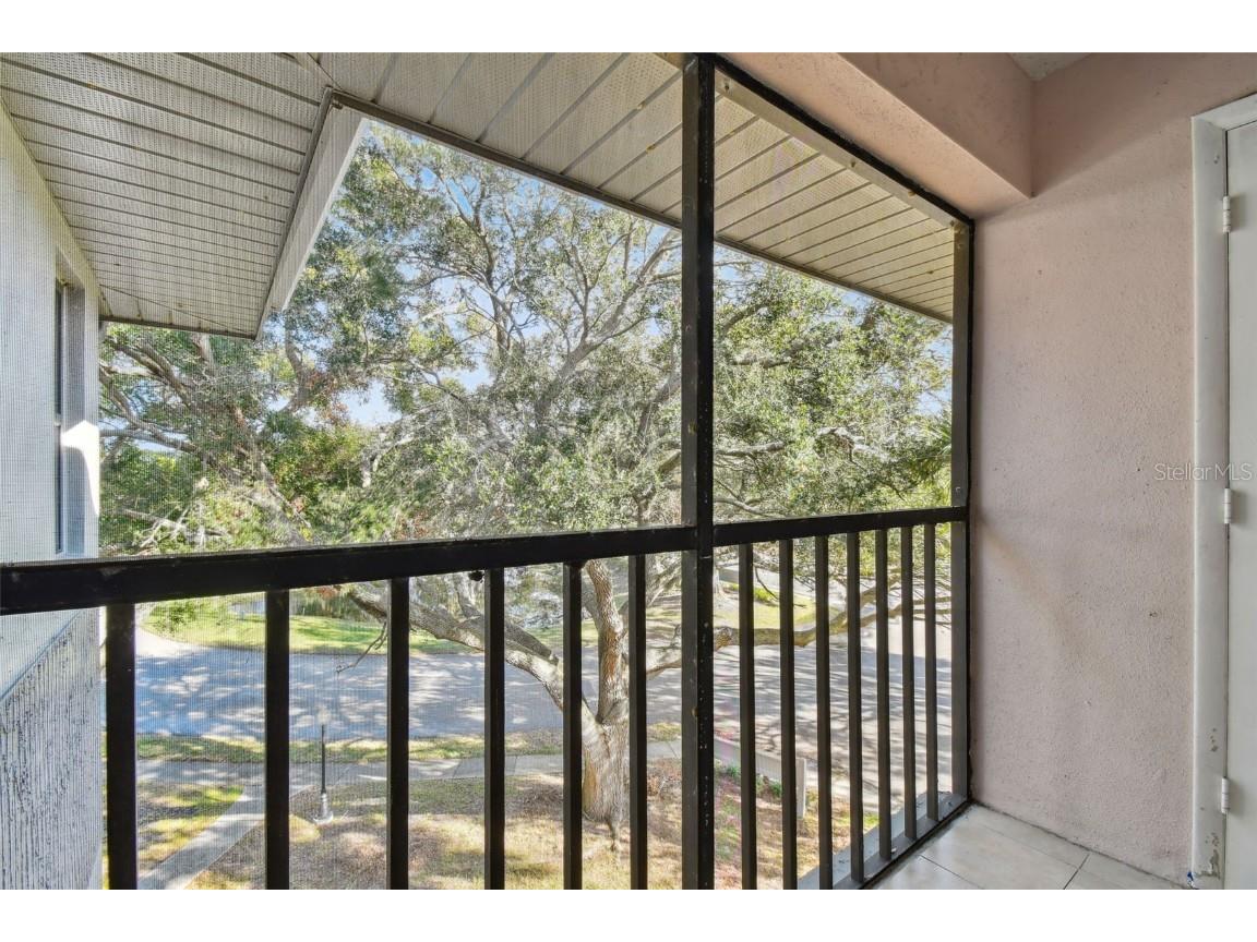 2650 Countryside Boulevard #C309 Clearwater FL 33761 TB8335951 image22