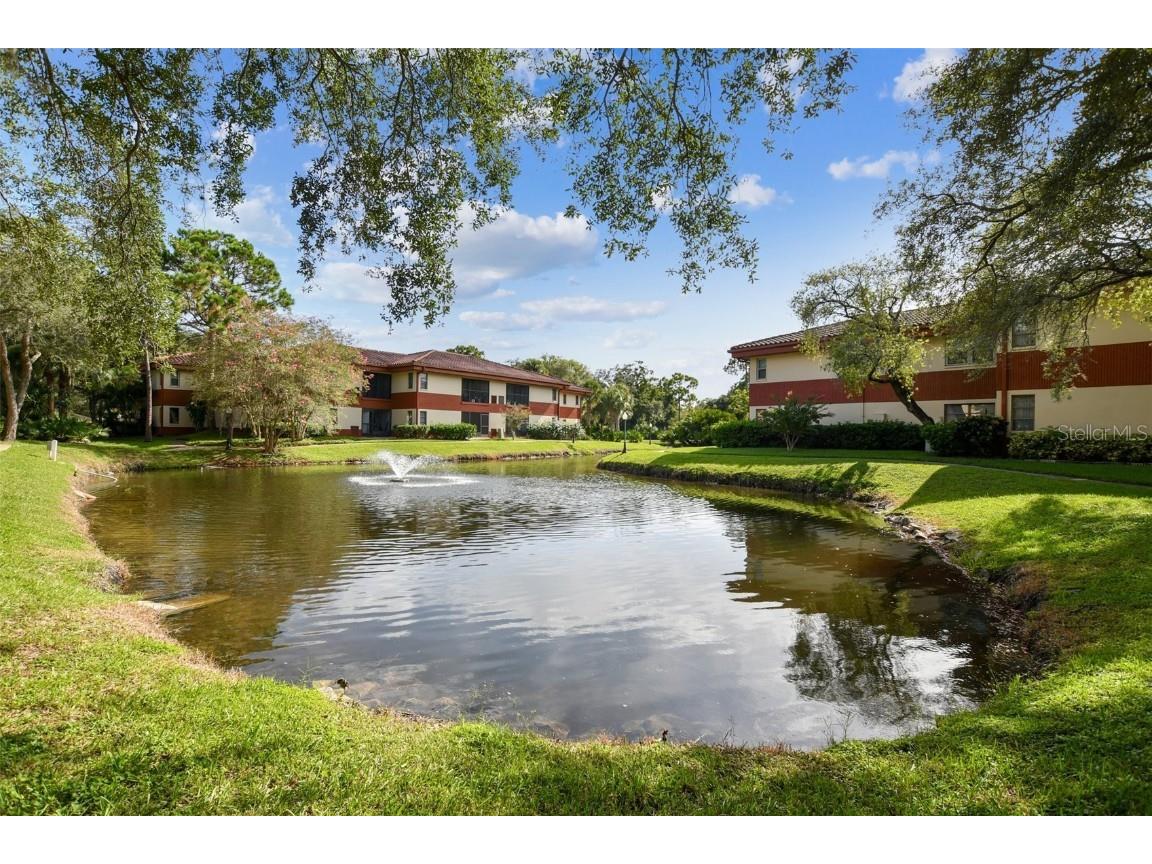 2650 Countryside Boulevard #C309 Clearwater FL 33761 TB8335951 image42