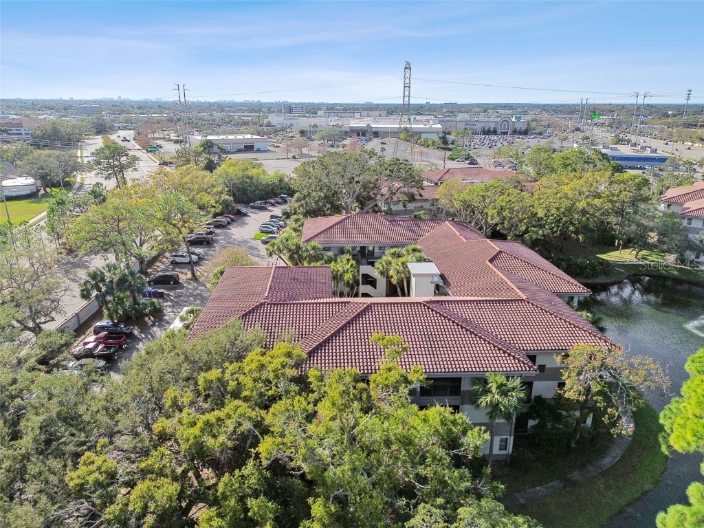 2650 Countryside Boulevard #C309 Clearwater FL 33761 TB8335951 image48