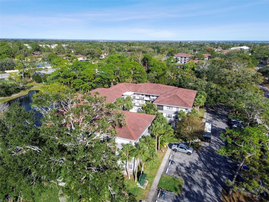 2650 Countryside Boulevard #C309 Clearwater FL 33761 TB8335951 image50