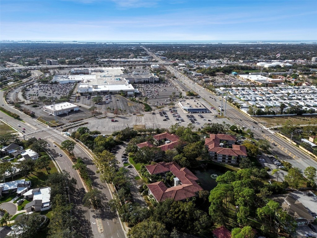 2650 Countryside Boulevard #C309 Clearwater FL 33761 TB8335951 image53