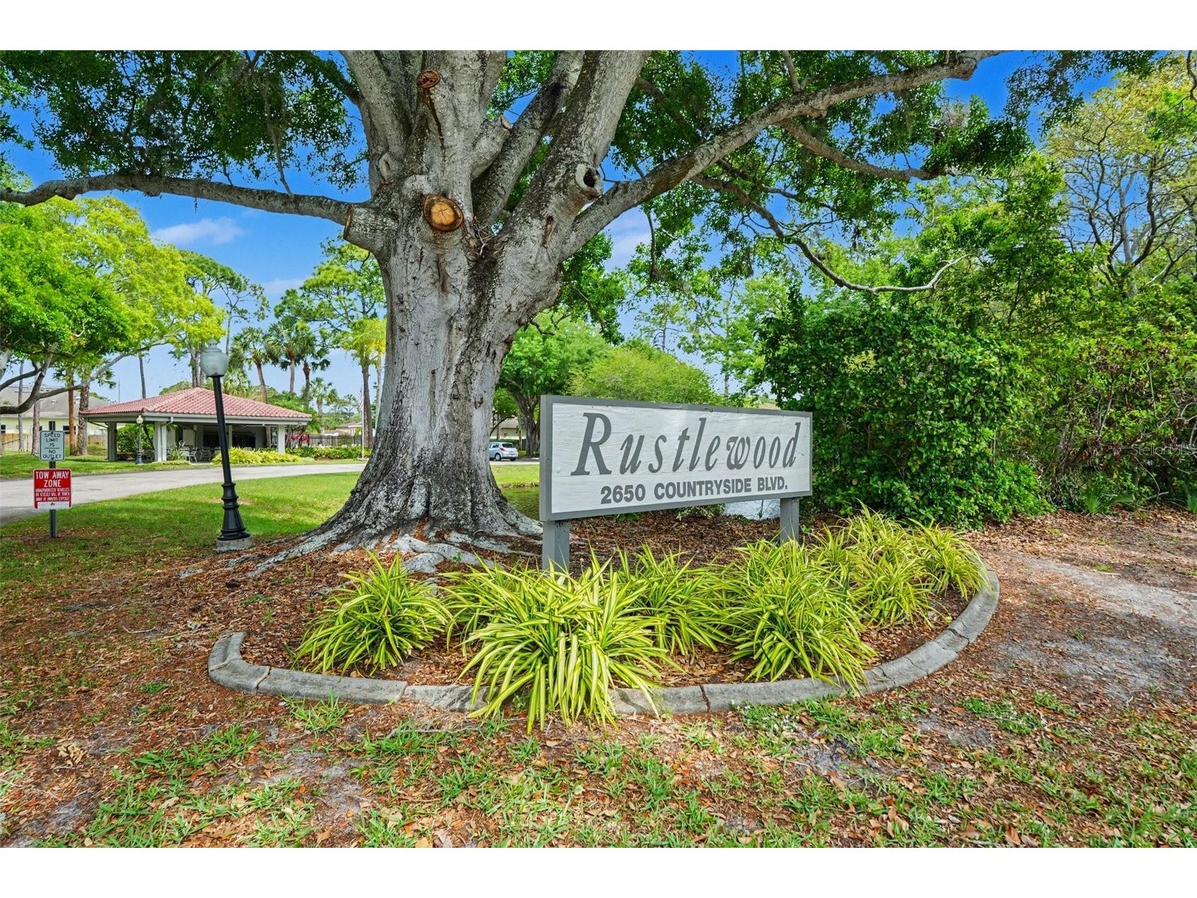 2650 Countryside Boulevard #E 204 Clearwater FL 33761 TB8490132 image21