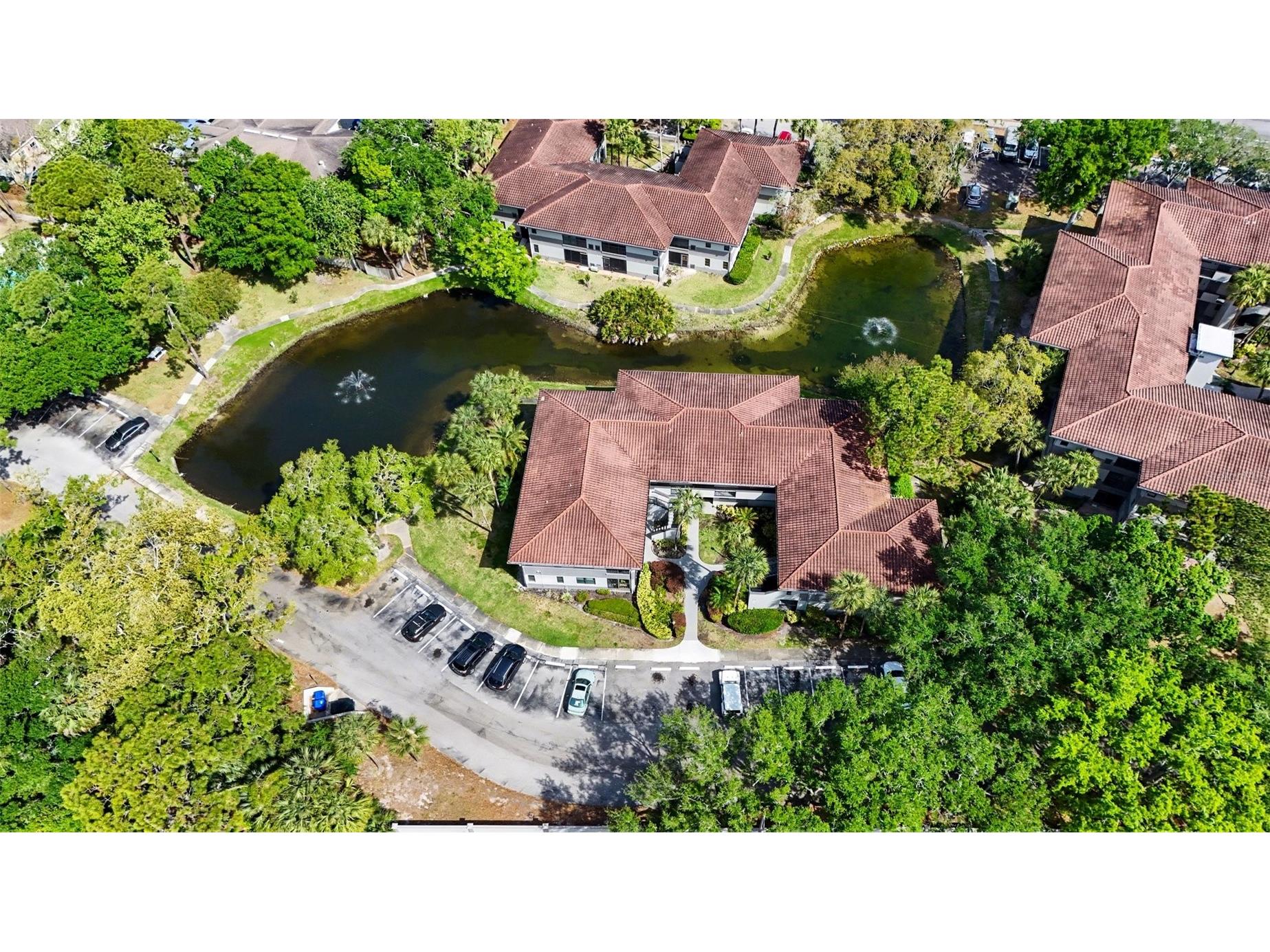 2650 Countryside Boulevard #E 204 Clearwater FL 33761 TB8490132 image26